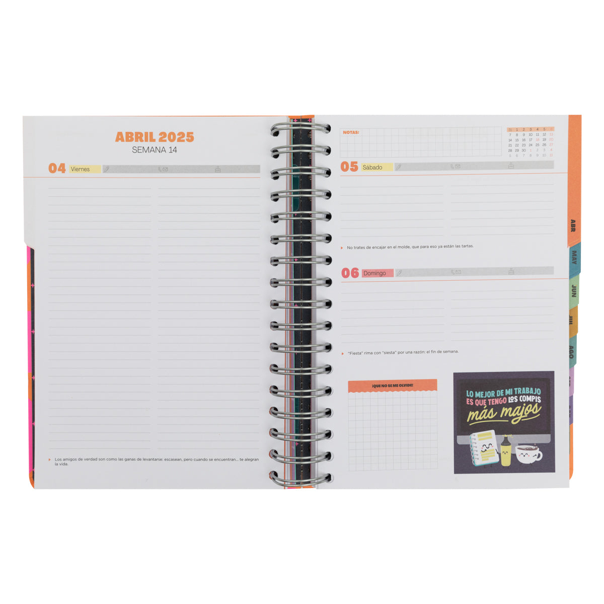 Agenda Wonder 2025 Diaria - ¡Que comience el show!.
