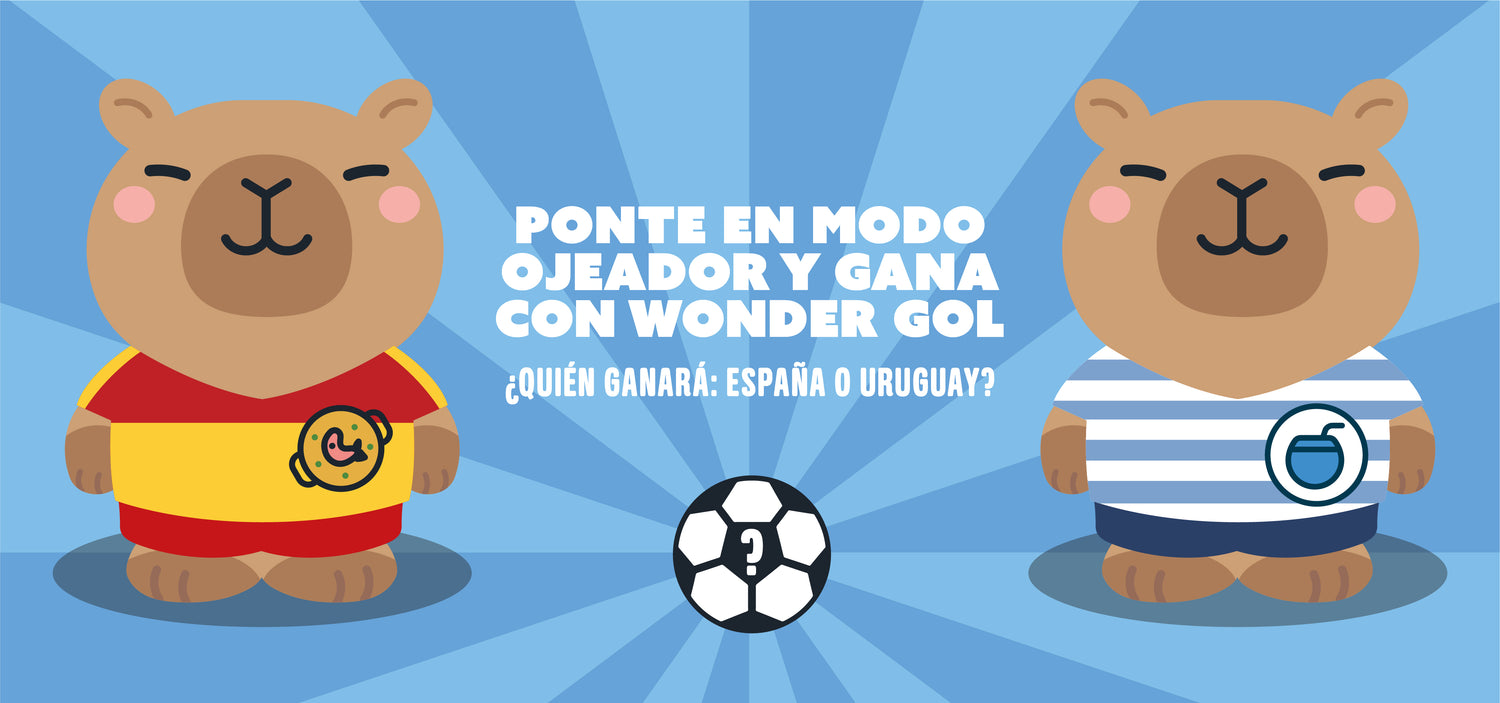Mr Wonderful