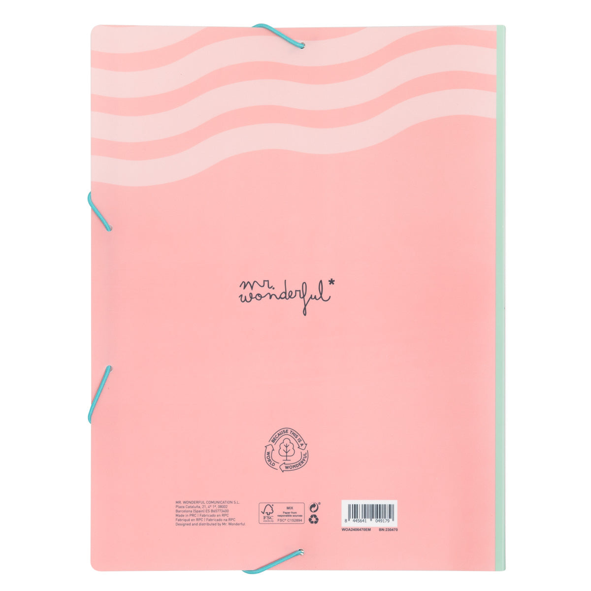 Pasta com folhas transparentes – Nunca pare de sonhar