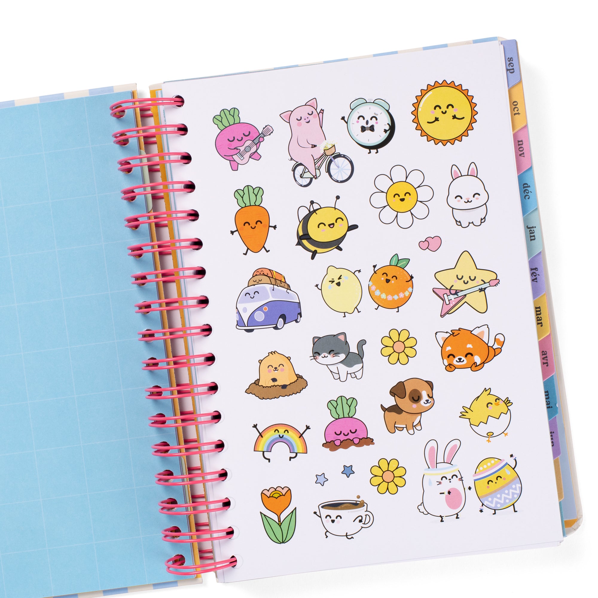 Agenda Merveille 2025-26 Journalier - Tous les jours la nuit