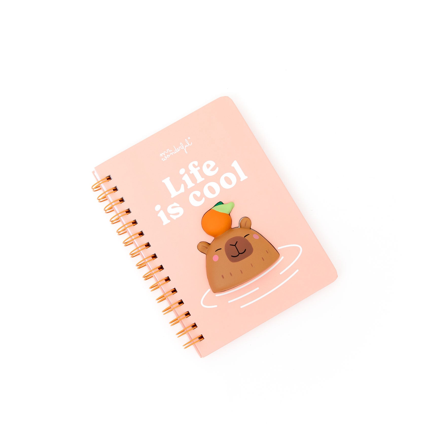 Cahier A5 3D squishy Capybara – Life is cool