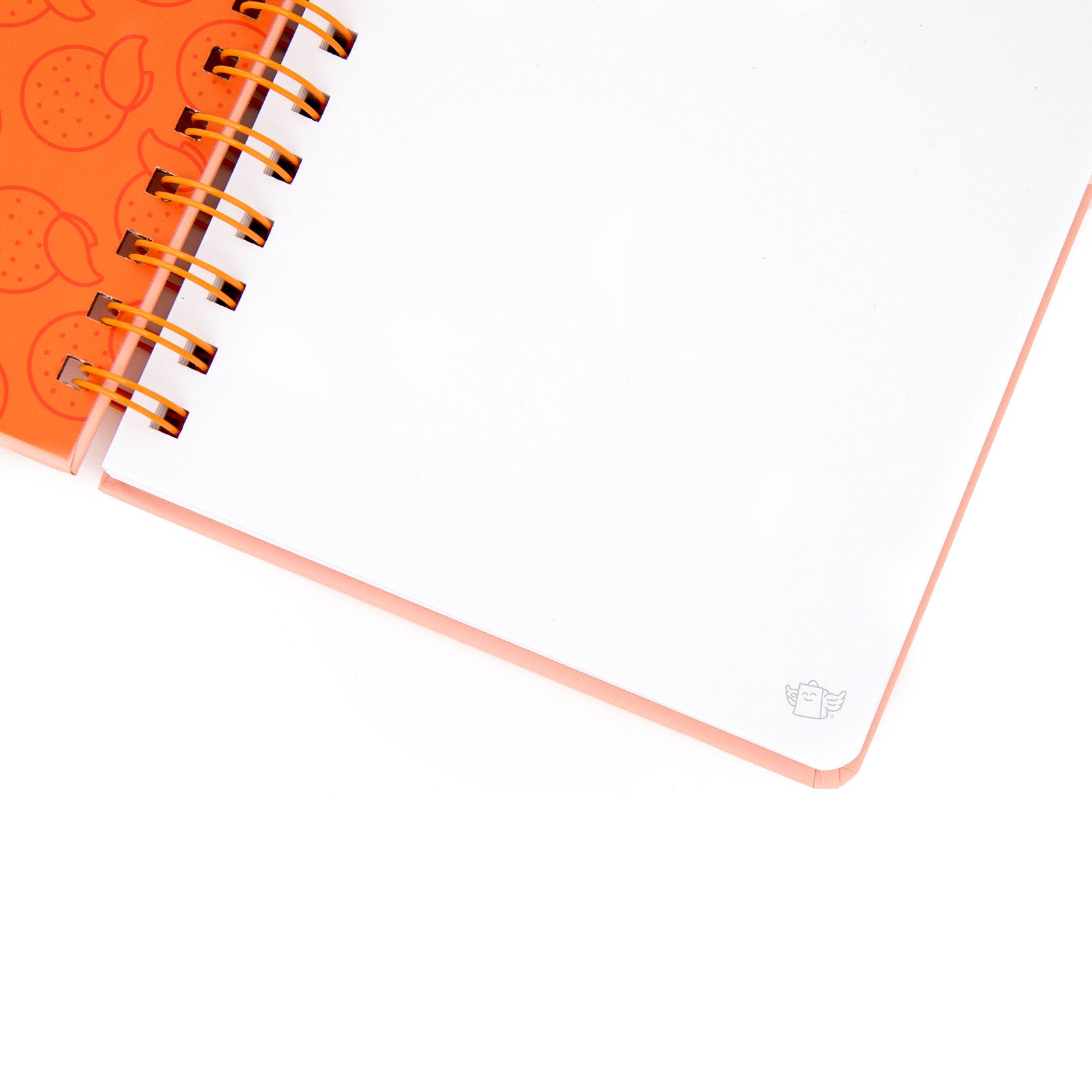 Cahier A5 3D squishy Capybara – Life is cool