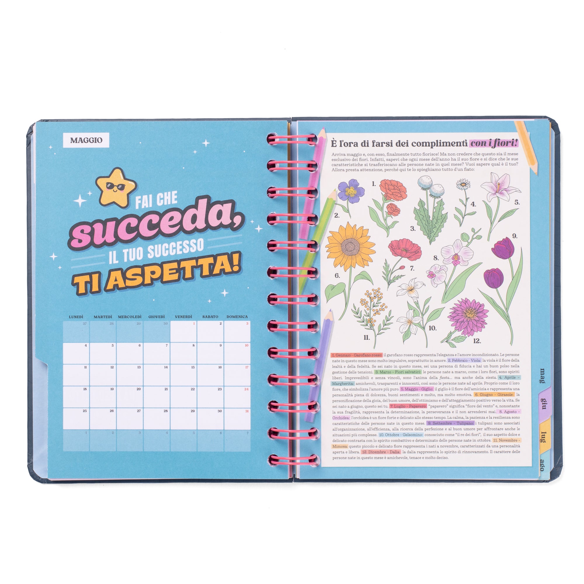 Diario scolastico Wonder piccolo 2025-26 Settimanale - Progetti, illusioni e tante buone vibrazioni