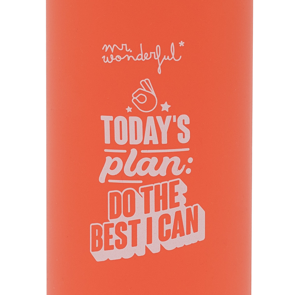 Botella de agua de cristal - Today's plan: do the best I can.