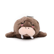 Estuche de peluche - Lazy morsa | Mr.Wonderful