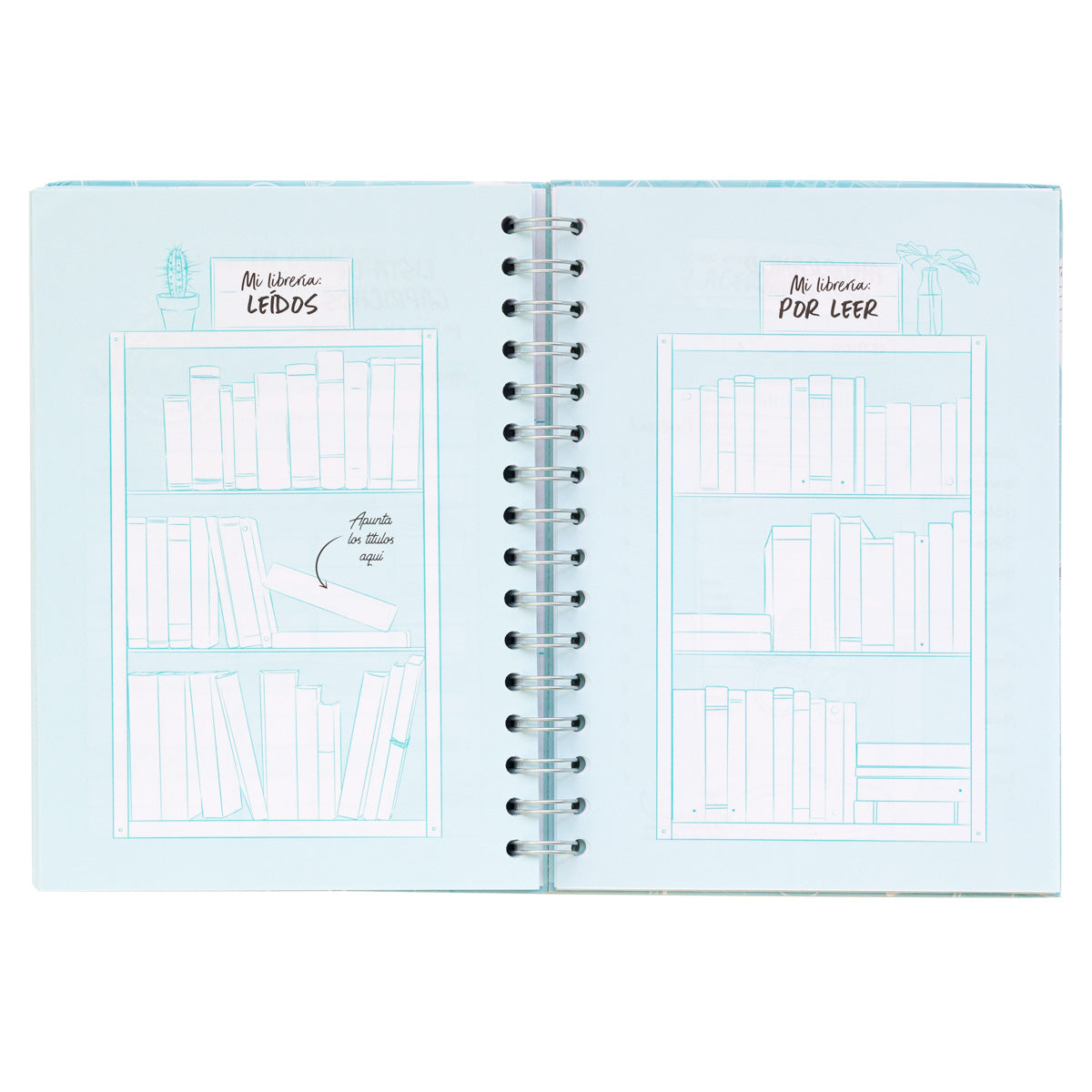 Planificador semanal Beta Coqueta + Mr. Wonderful