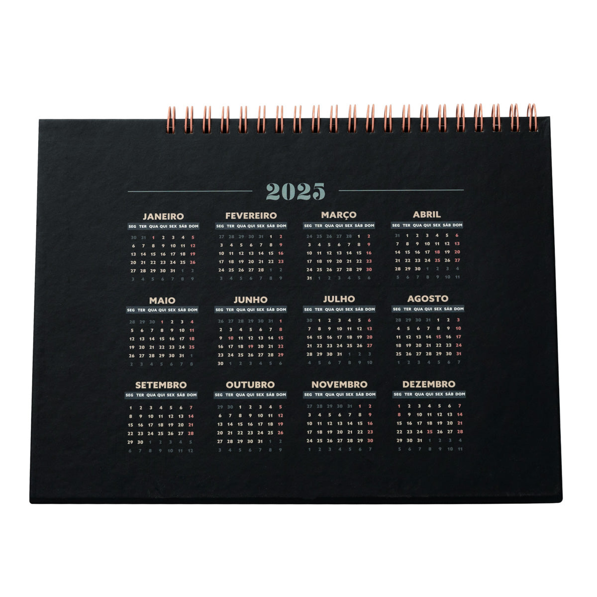 Calendário de mesa 2025 - Isto vai correr mesmo bem.