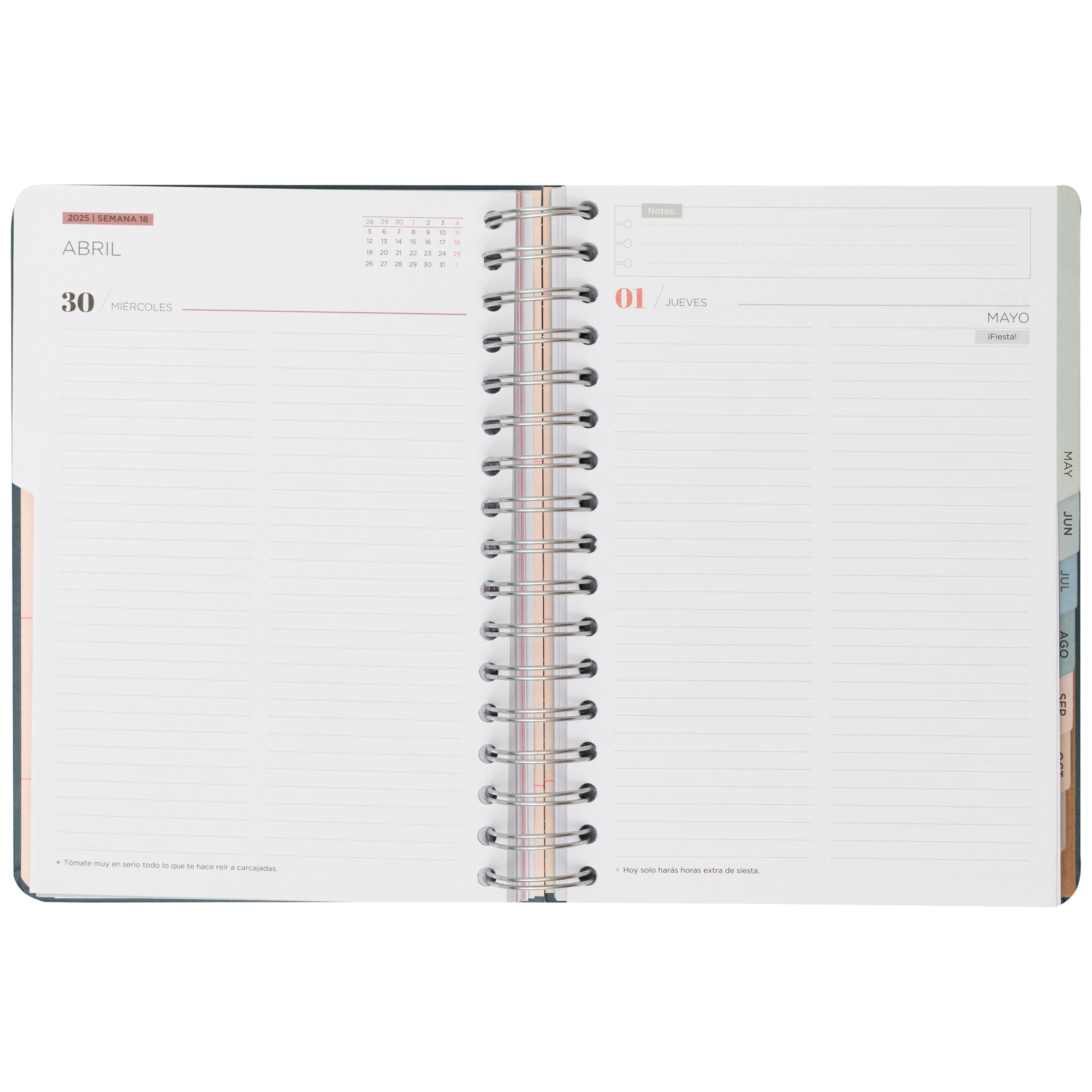 Agenda Office 2025 Diaria - Un año muy wonderful.