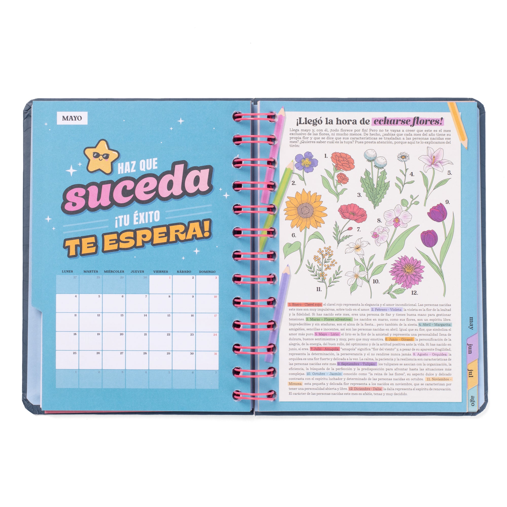 Agenda Wonder pequeña 2025-26 Semanal - Planazos, ilusiones y buenas vibraciones