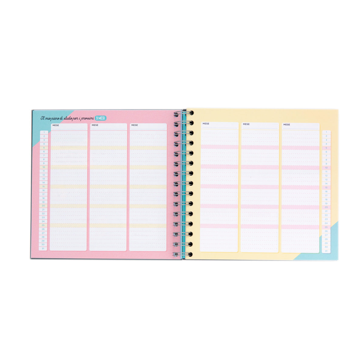 Planner studio - Lasciatemi passare sto per triunfare