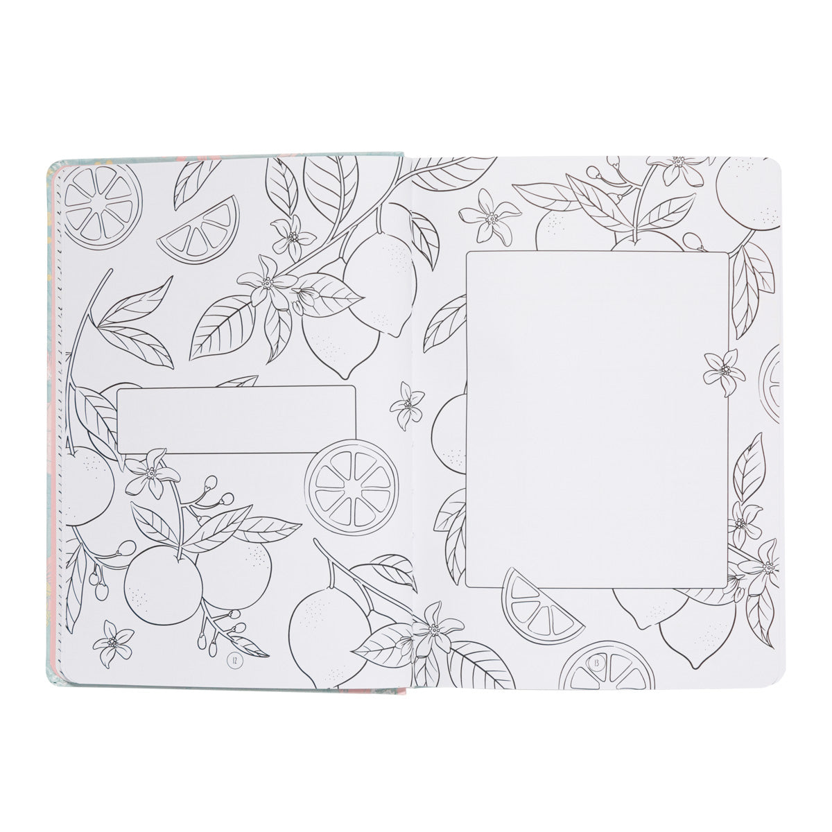 Bullet Journal - Muito para escrever, desenhar e comemorar