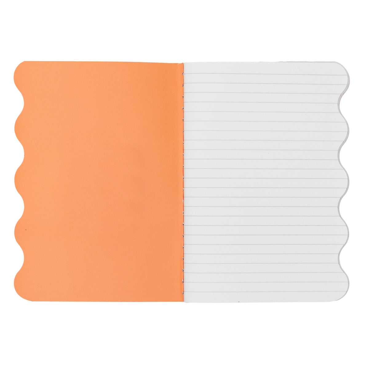 Pocket notebook - Focus on the good