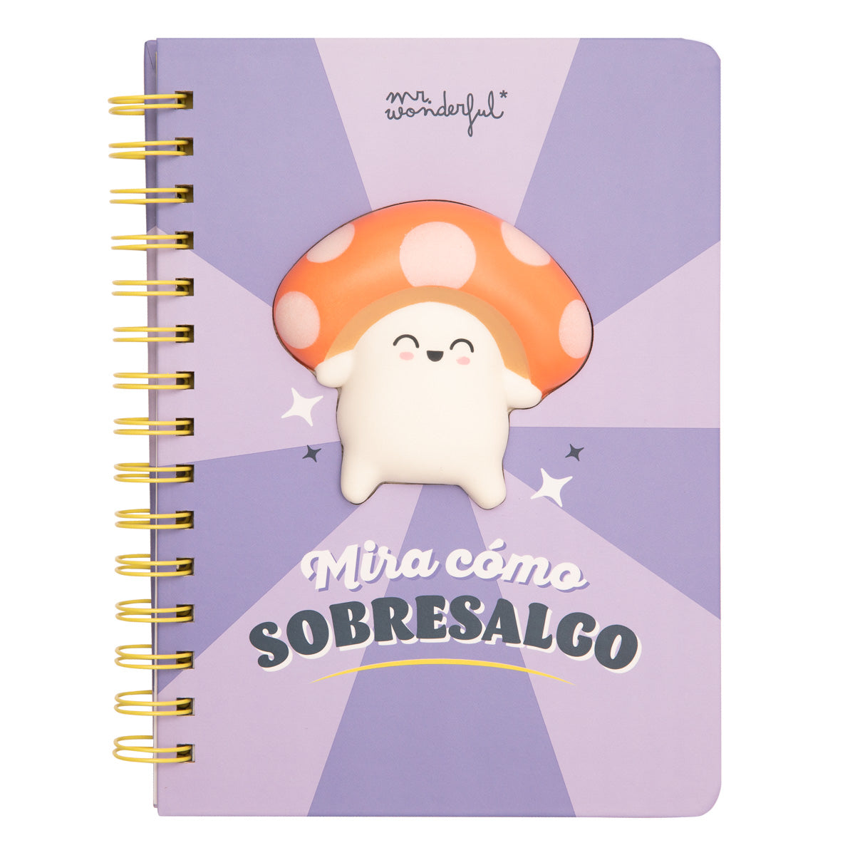 Pack Wonder World – Botella + kit para decorar agenda + libreta A5 3D squishy
