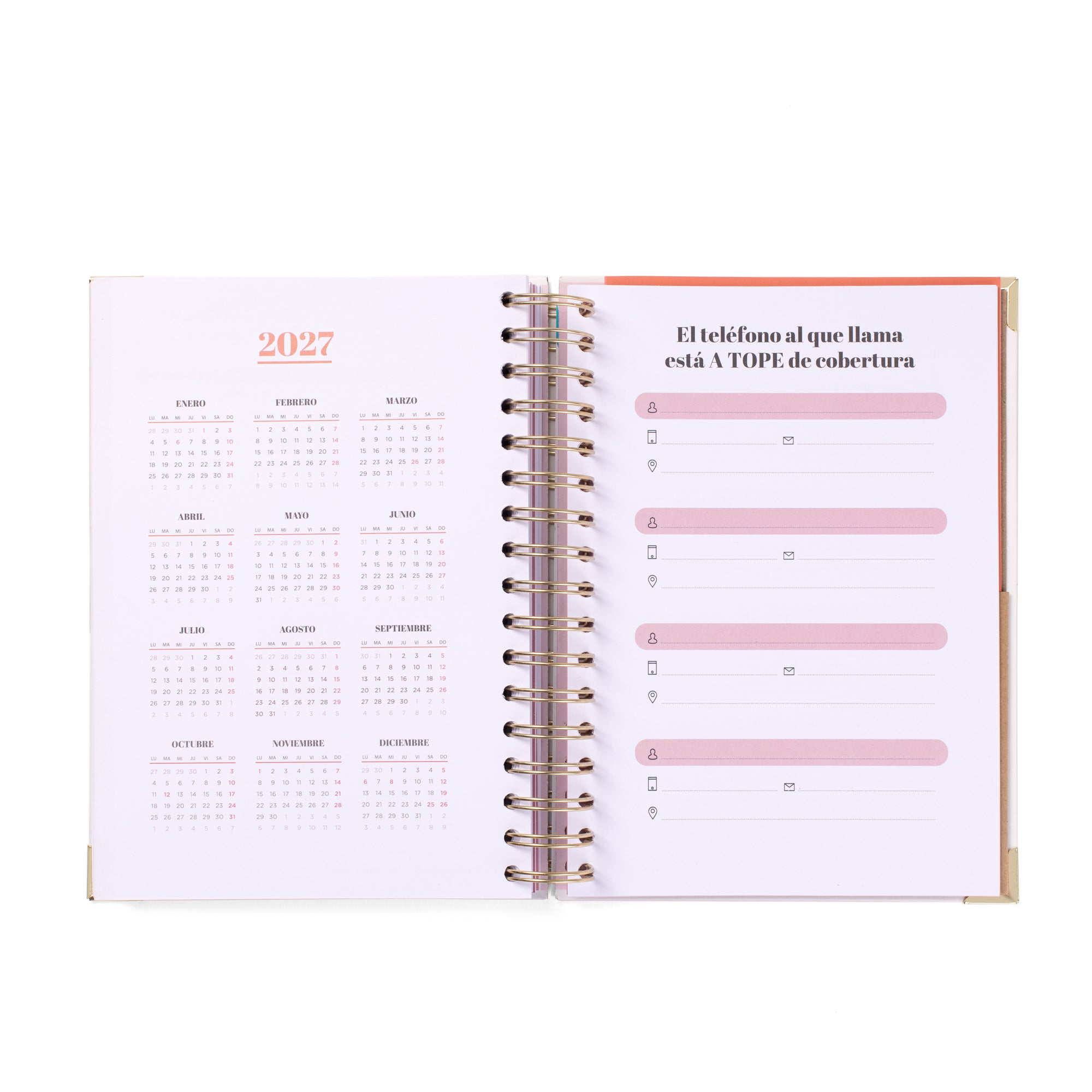Agenda Office 2025-26 Diaria - La vida es AHORA