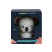 Uma luz mágica para lhe dar bons sonhos - Koala