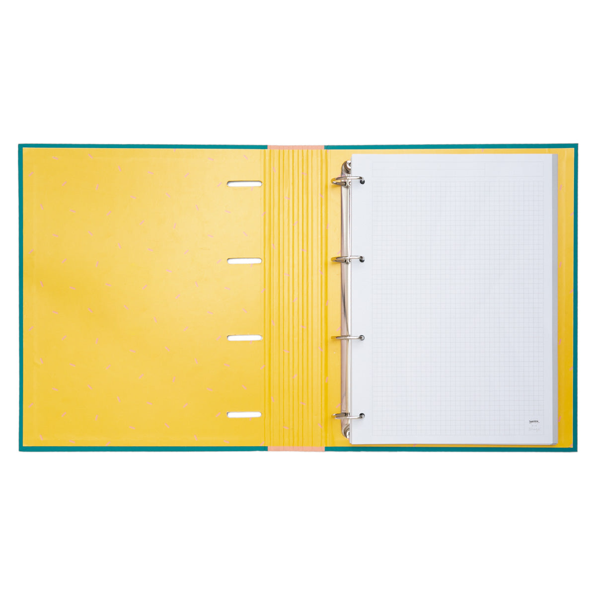 Pasta de Arquivo - Realizando Desafios e Muitos Sonhos 