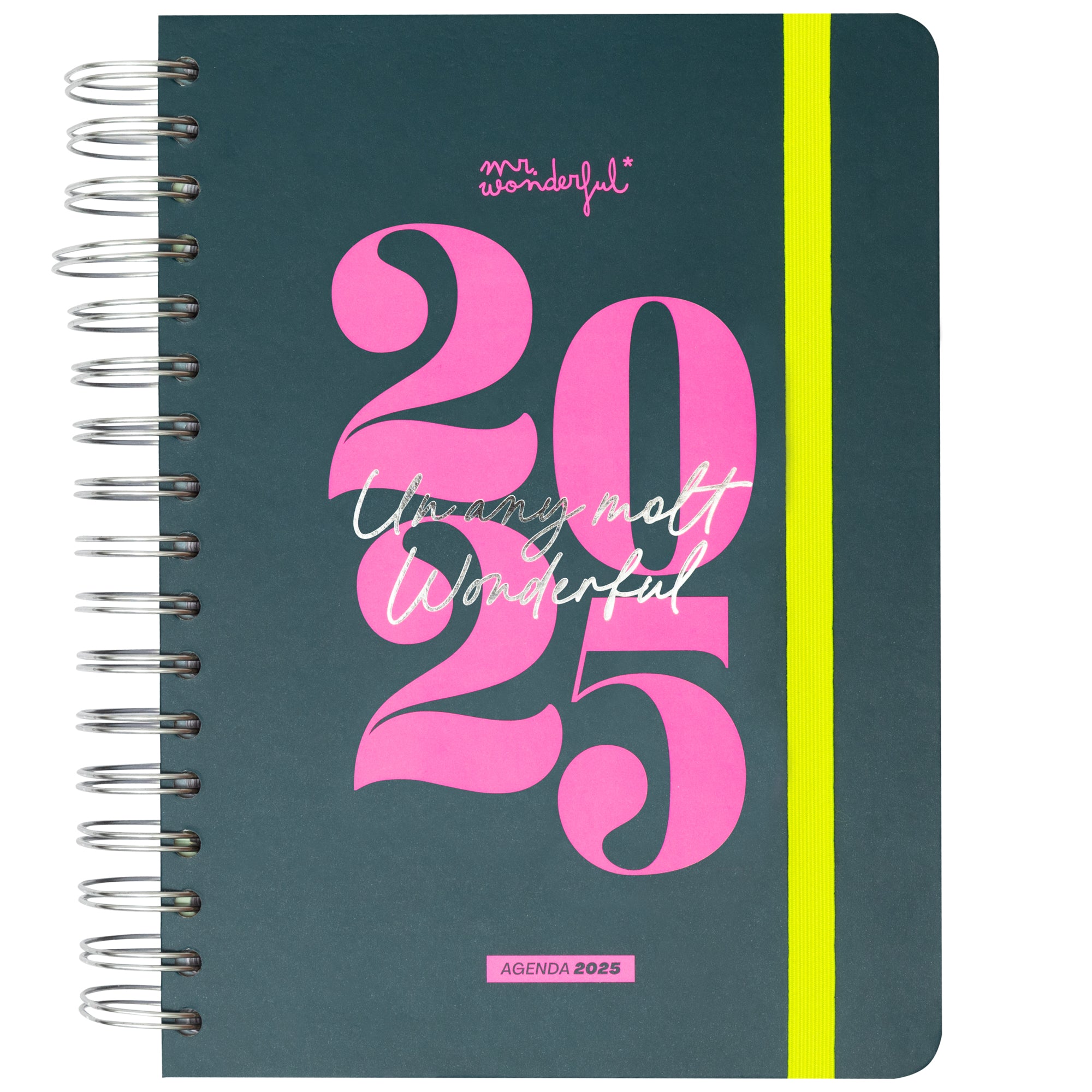 Agenda Wonder 2025 Diària - Un any molt wonderful.