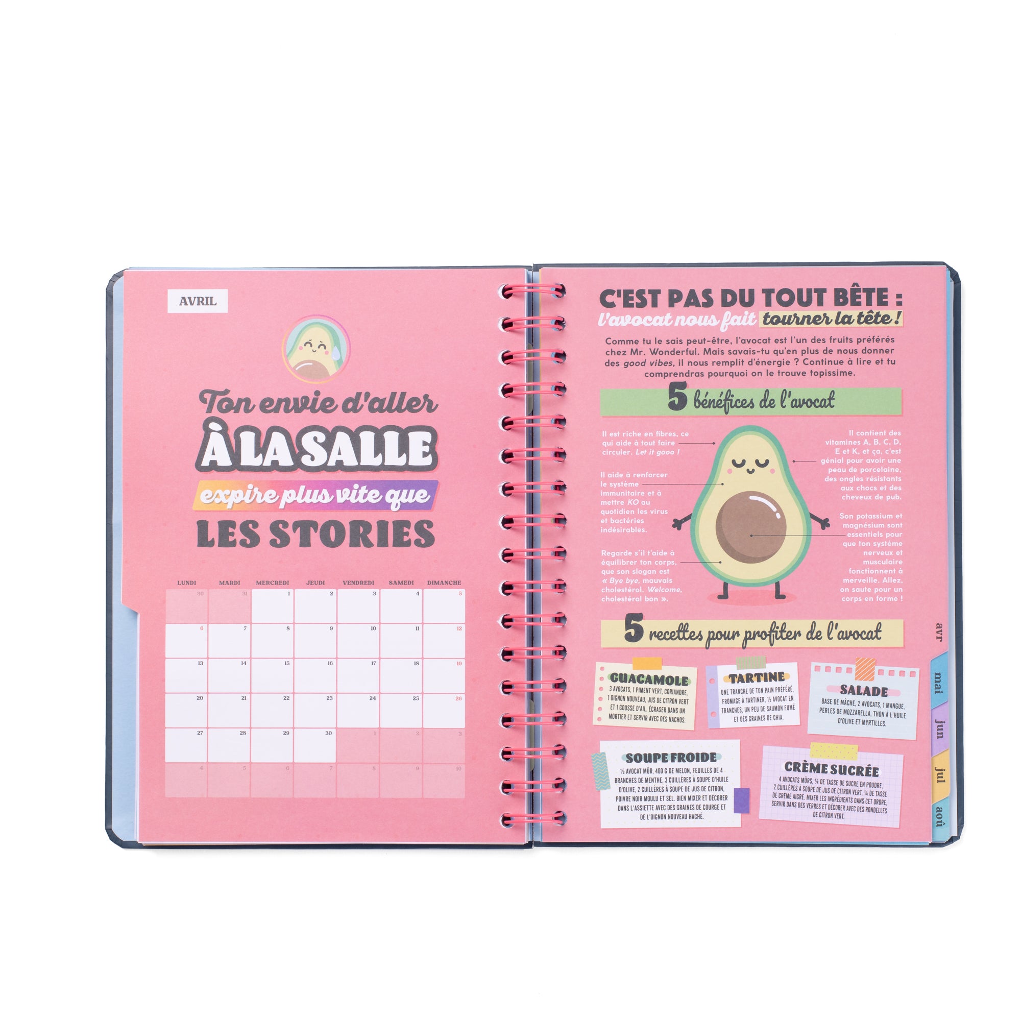 Agenda Merveilleux 2025-26 Semainier - Des projets passionnants et une motivation maximale 