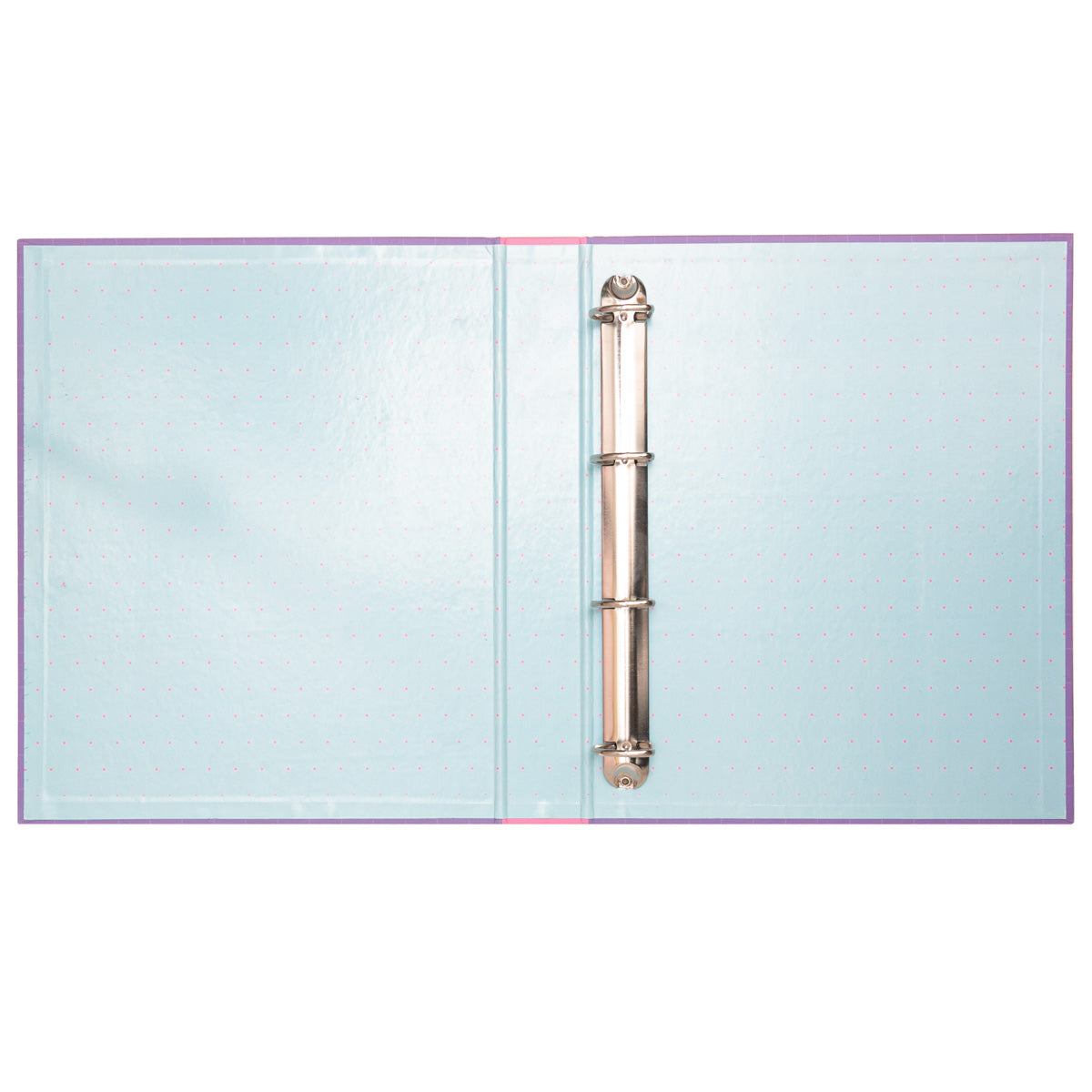 Pasta de Arquivo - Realizando Desafios e Muitos Sonhos 