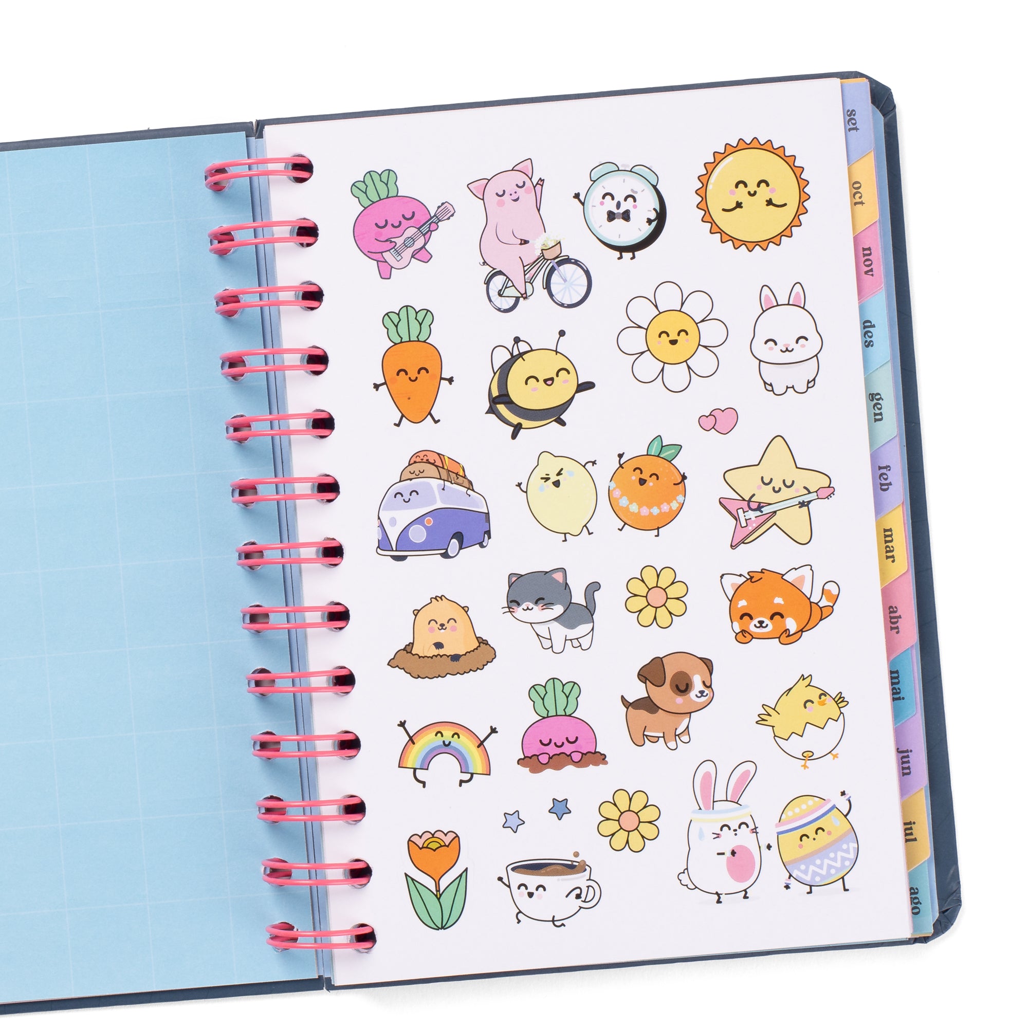 Agenda Wonder petita 2025-26 Setmanal - Grans plans, il·lusions i bones vibracions