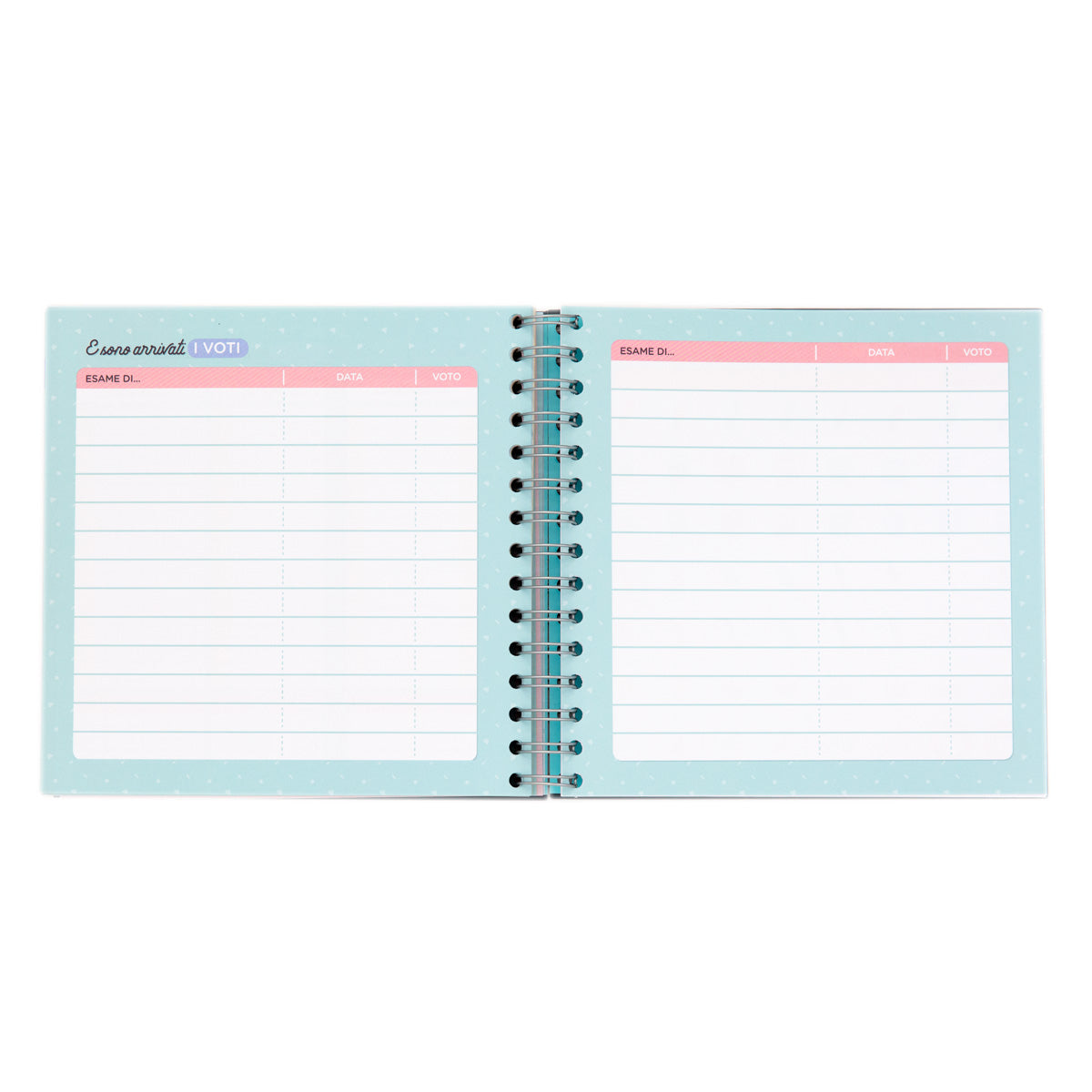 Planner studio - Lasciatemi passare sto per triunfare