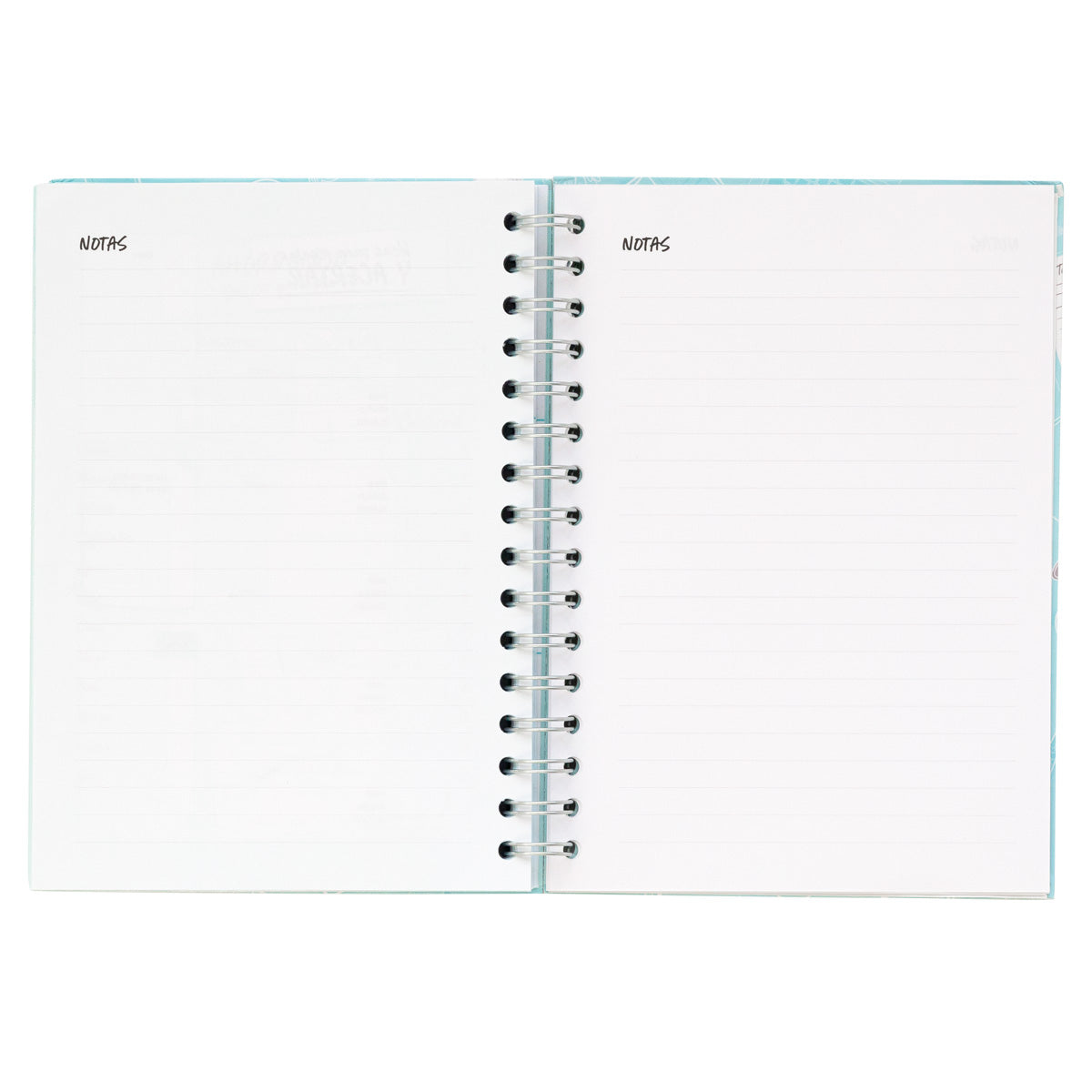 Planificador semanal Beta Coqueta + Mr. Wonderful