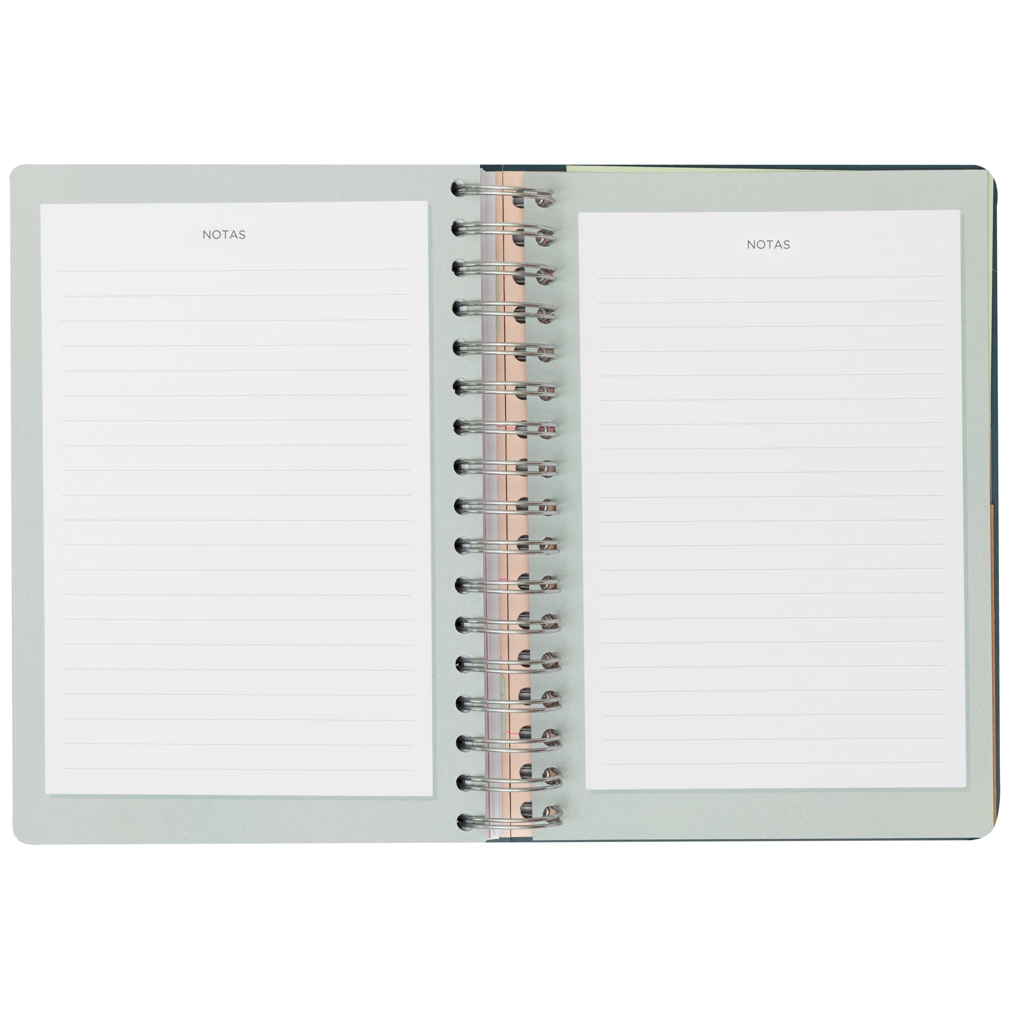 Agenda Office 2025 Diaria - Un año muy wonderful.