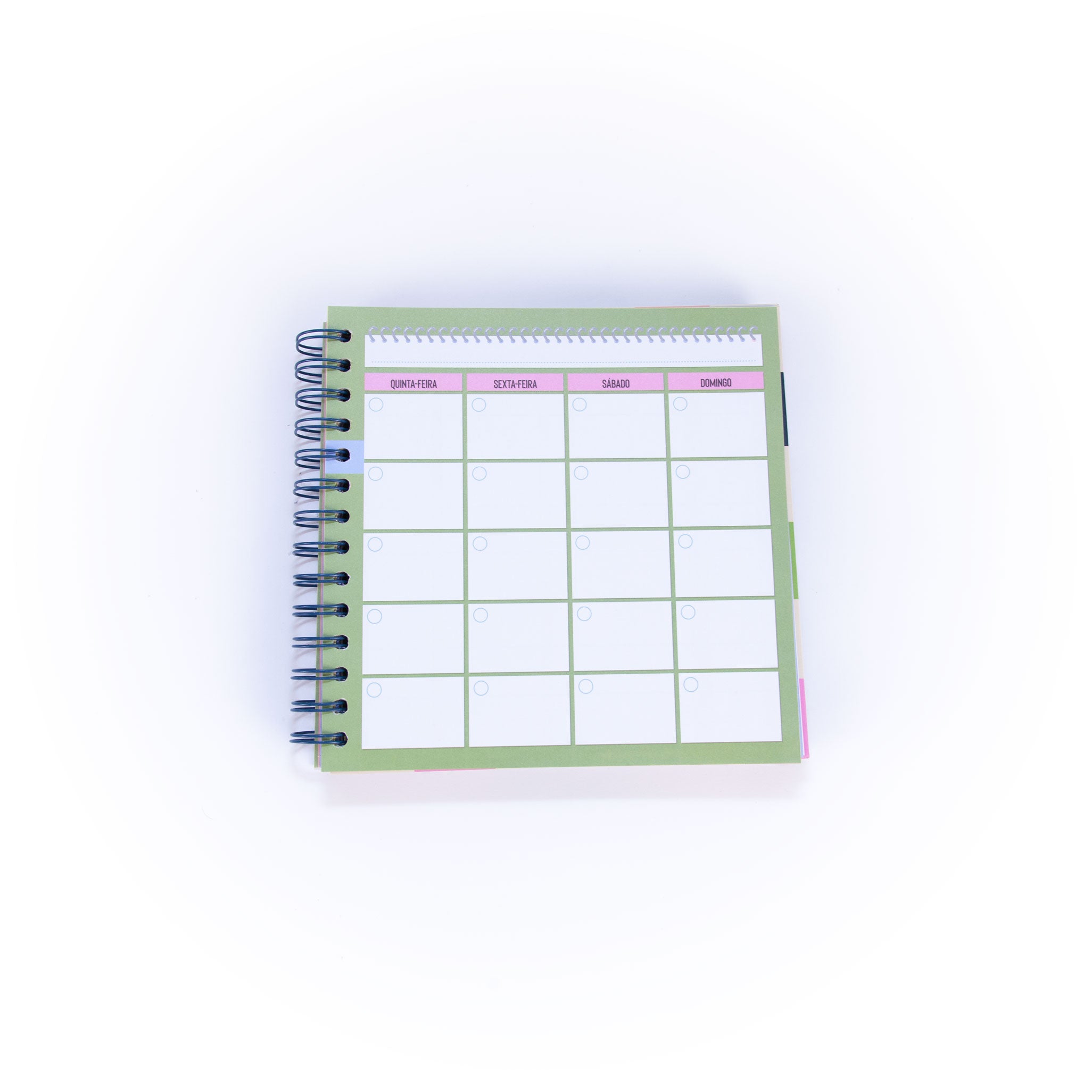 Organizador de estudos – Curso nota 20? Presente!