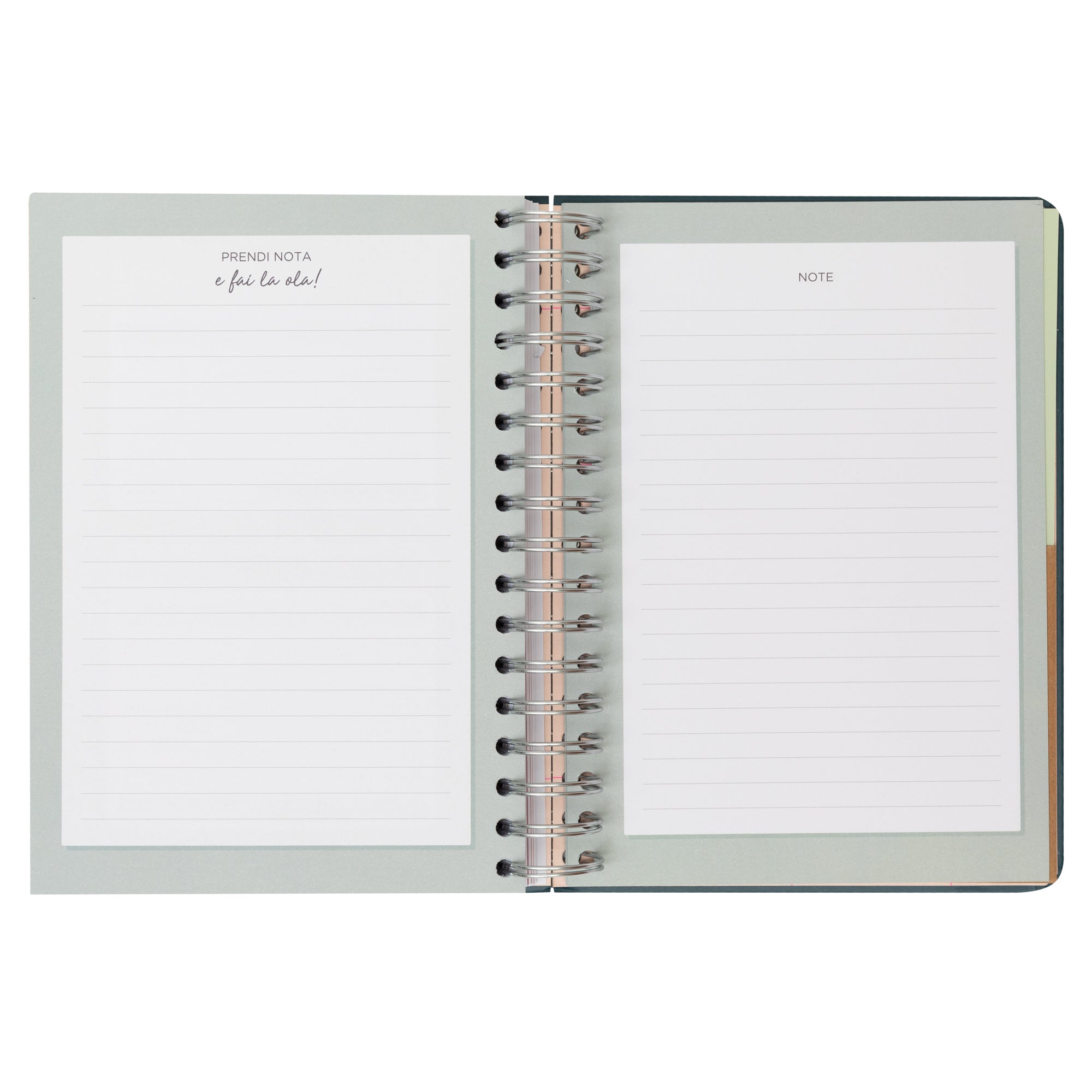 Agenda Office 2025 Giornaliera - Un anno molto wonderful.
