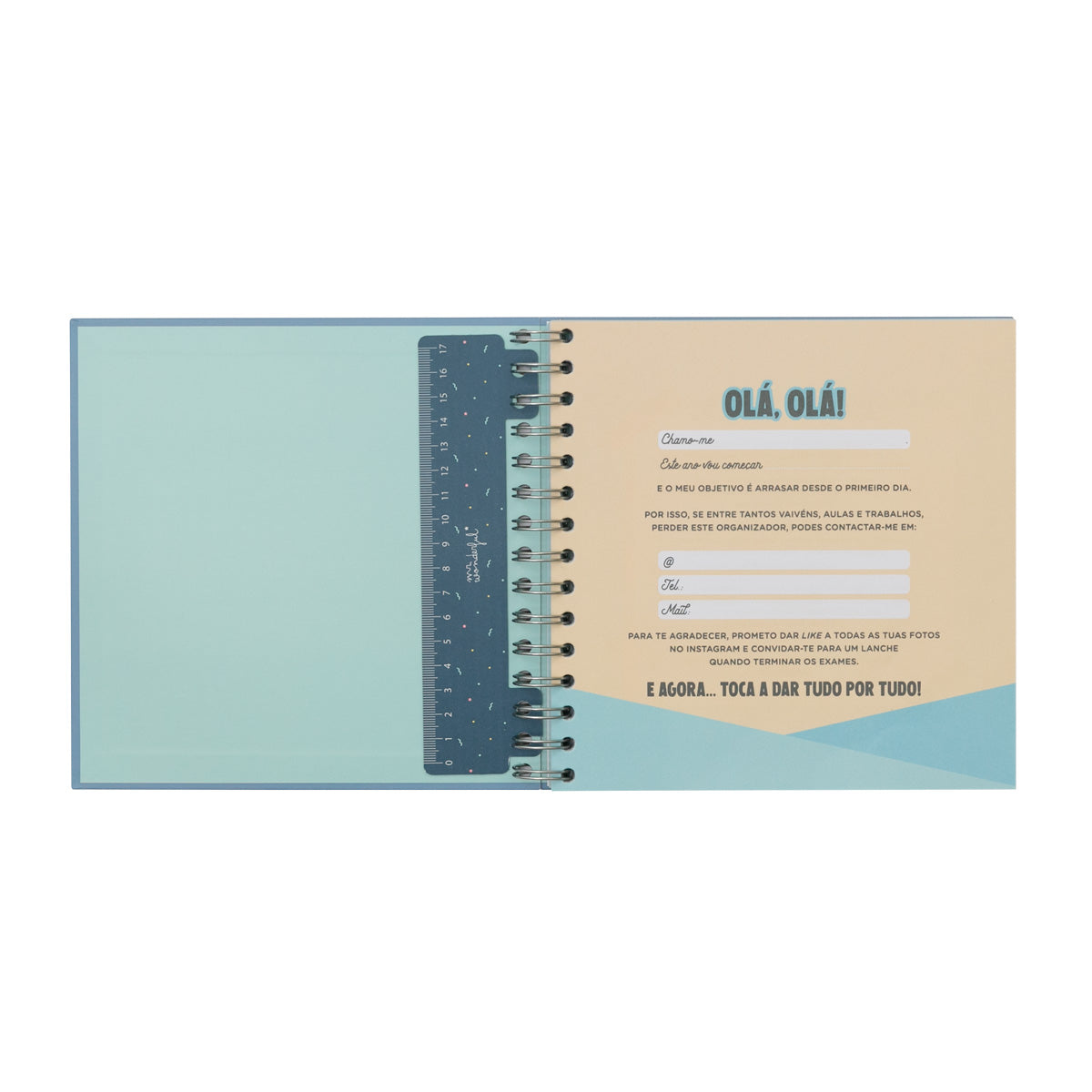 Organizador de estudos - Meu plano para obter 