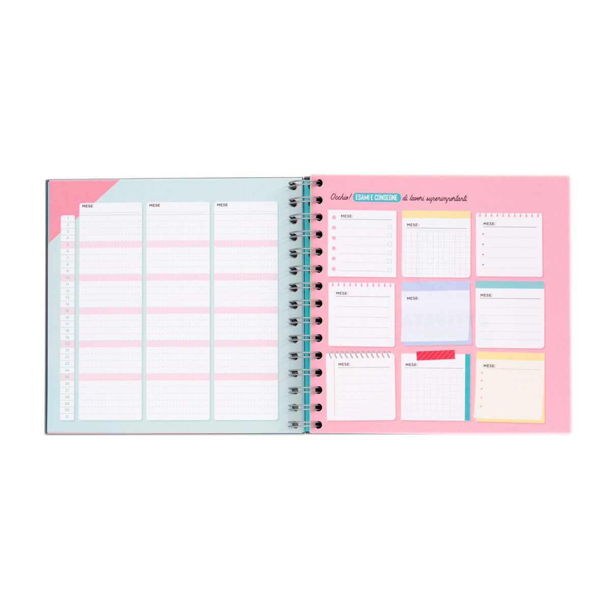 Planner studio - Lasciatemi passare sto per triunfare