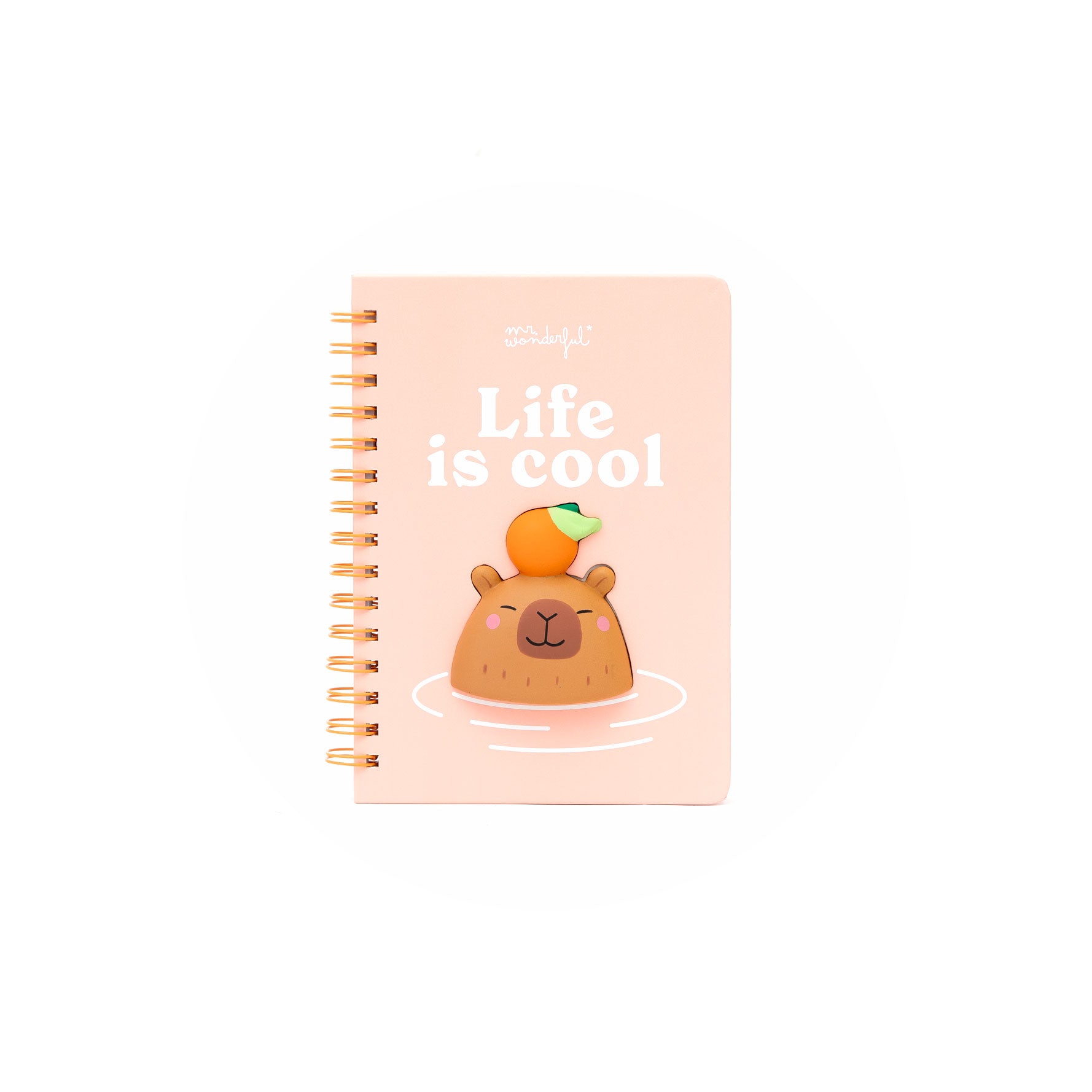 Libreta A5 3D squishy capibara - Life is cool | Mr.Wonderful