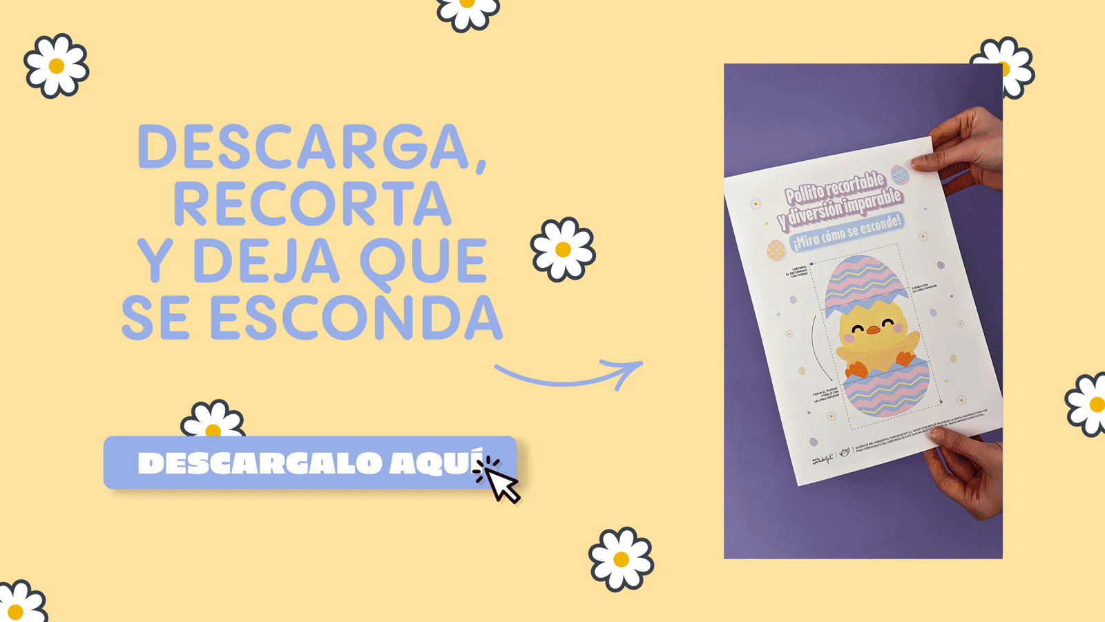 Mr Wonderful