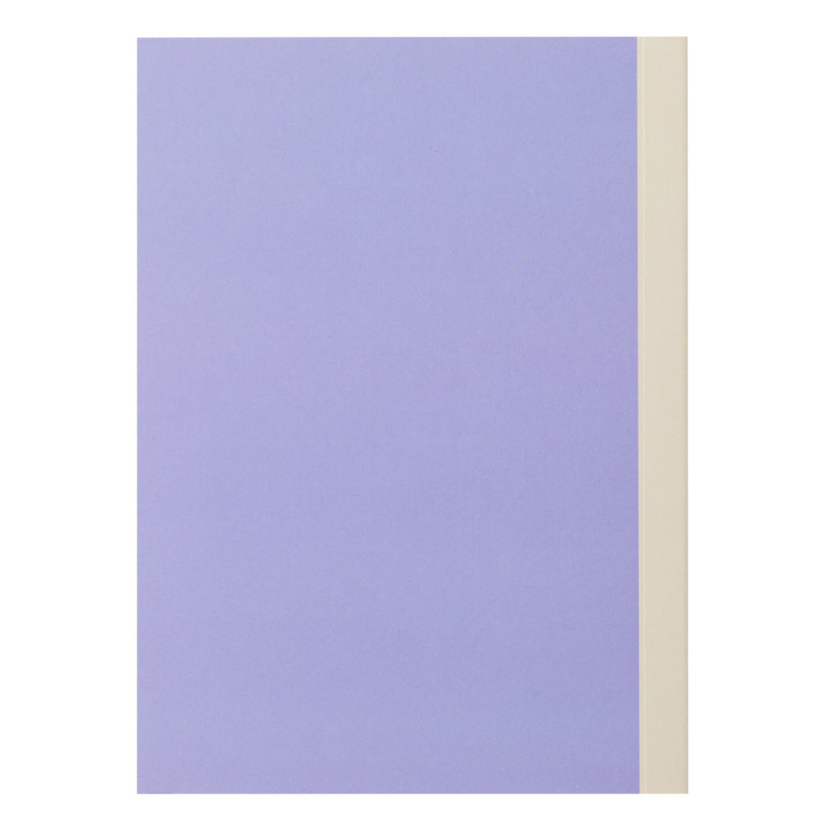 Set of 3 A6 notebooks - Determination