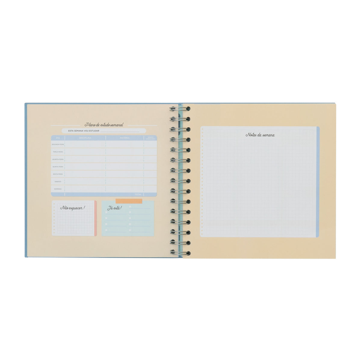 Organizador de estudos - Meu plano para obter 