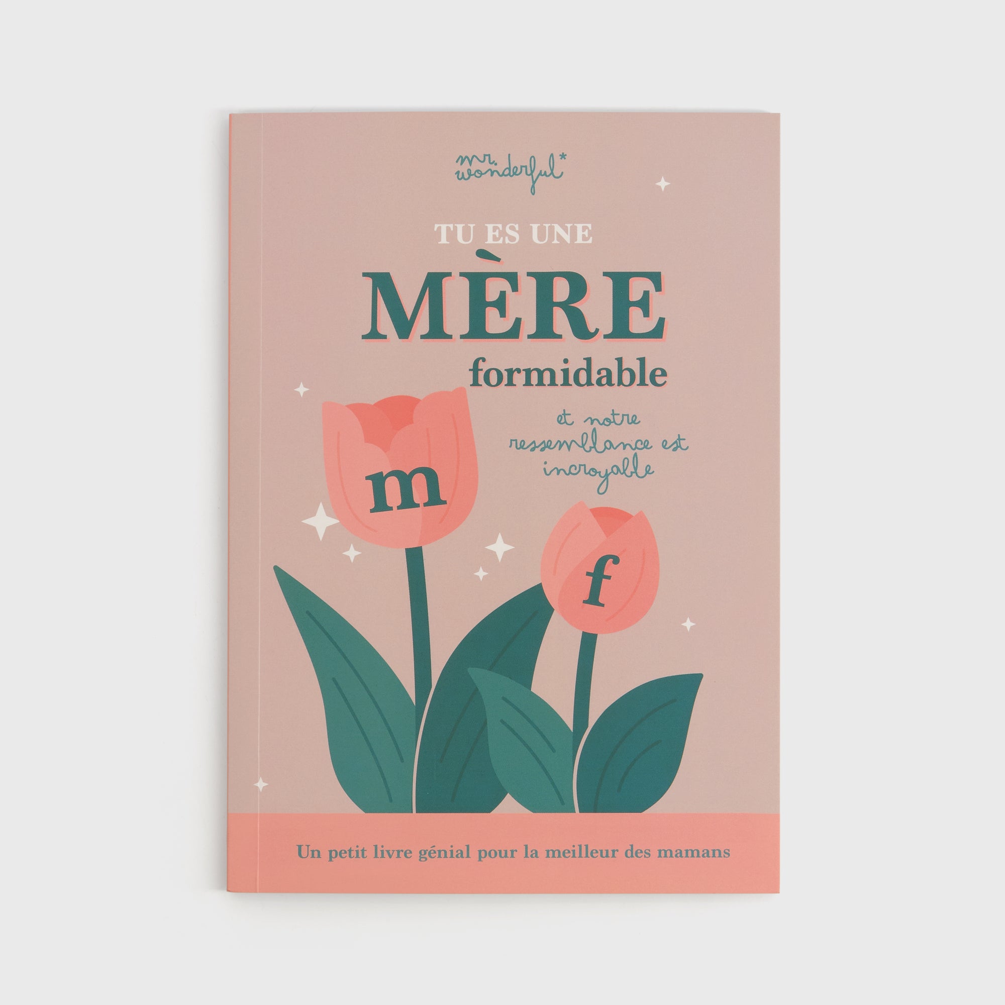 Livre à personnaliser - Tu es une mère formidable et notre ressemblance est incroyable