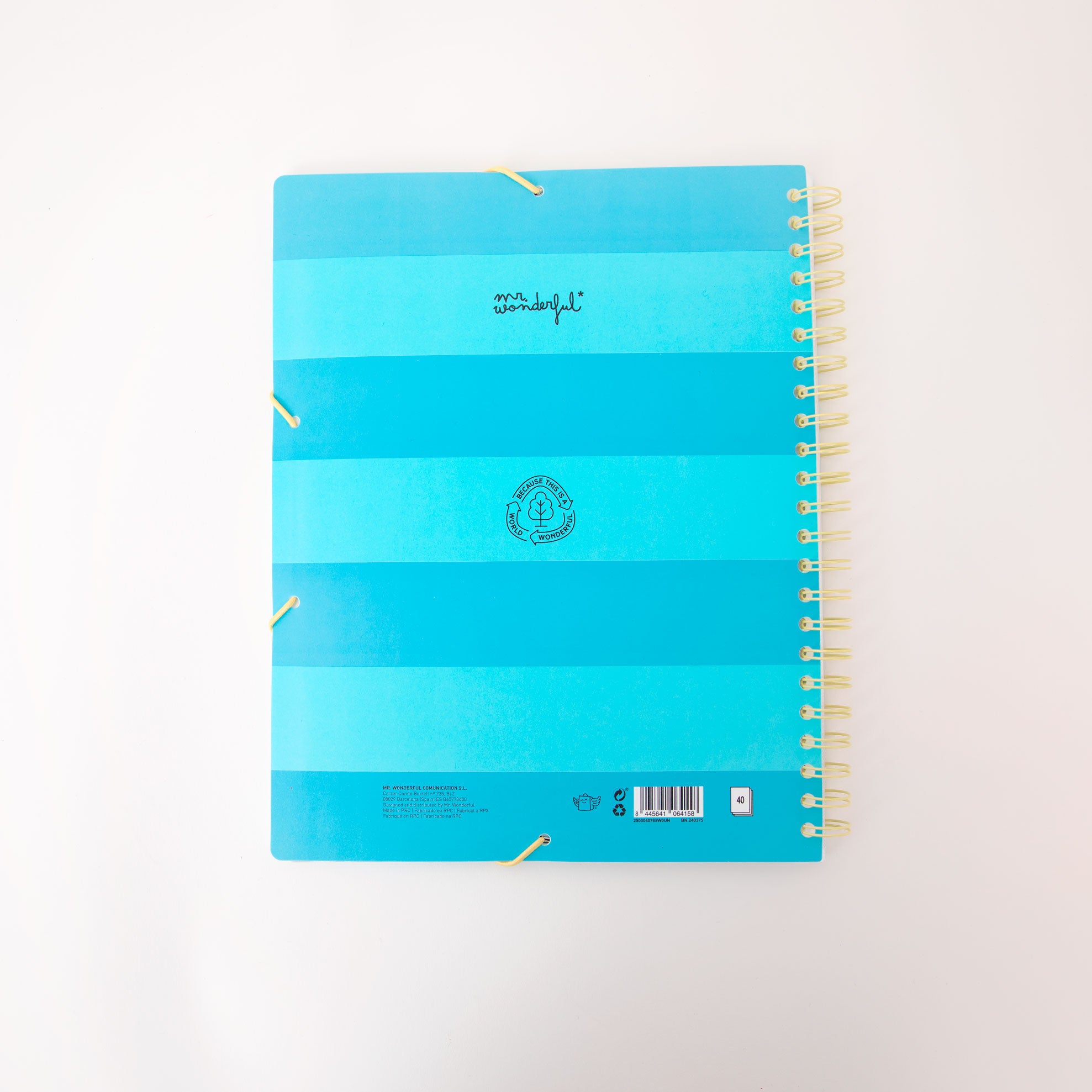Folder with transparent sheets – My best day is every day