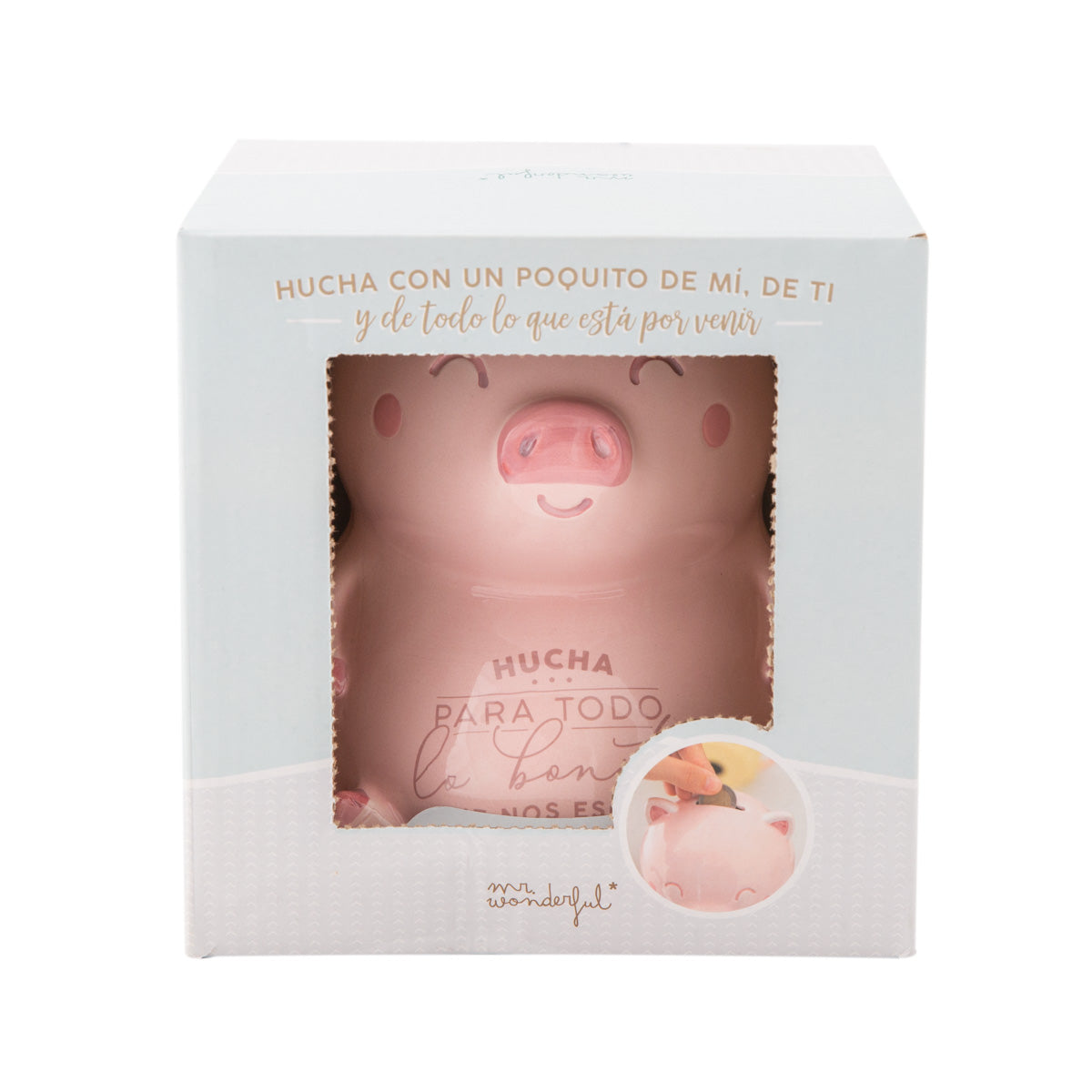 Hucha cerdito para todo lo bonito que nos espera