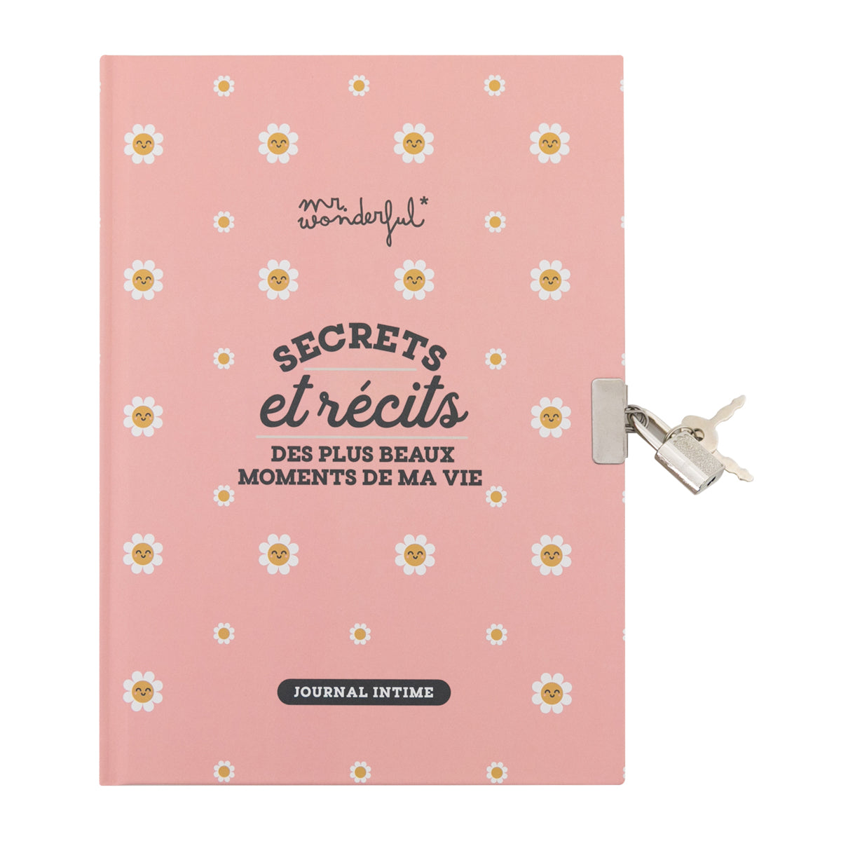 Journal intime - Mes grands petits secrets 