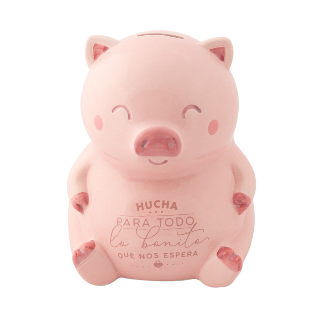 Hucha cerdito con frase Mr. Wonderful de amor para todo lo bonito que nos espera