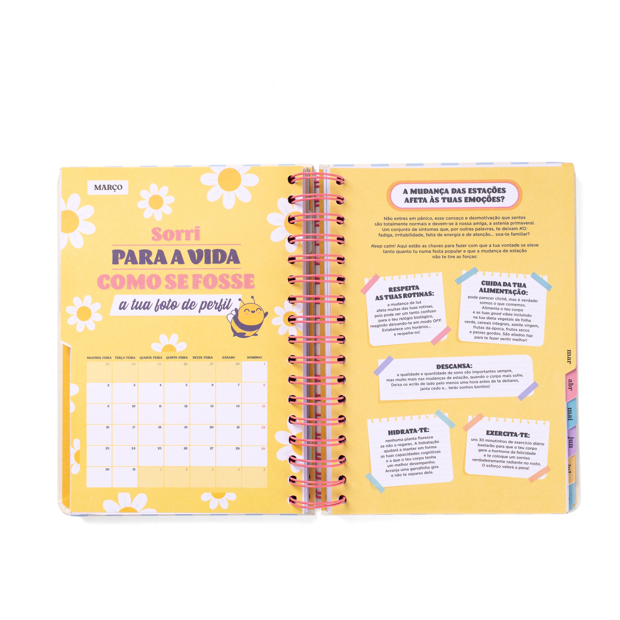 Agenda Wonder 2025-26 Diária - Cada dia mais e melhor