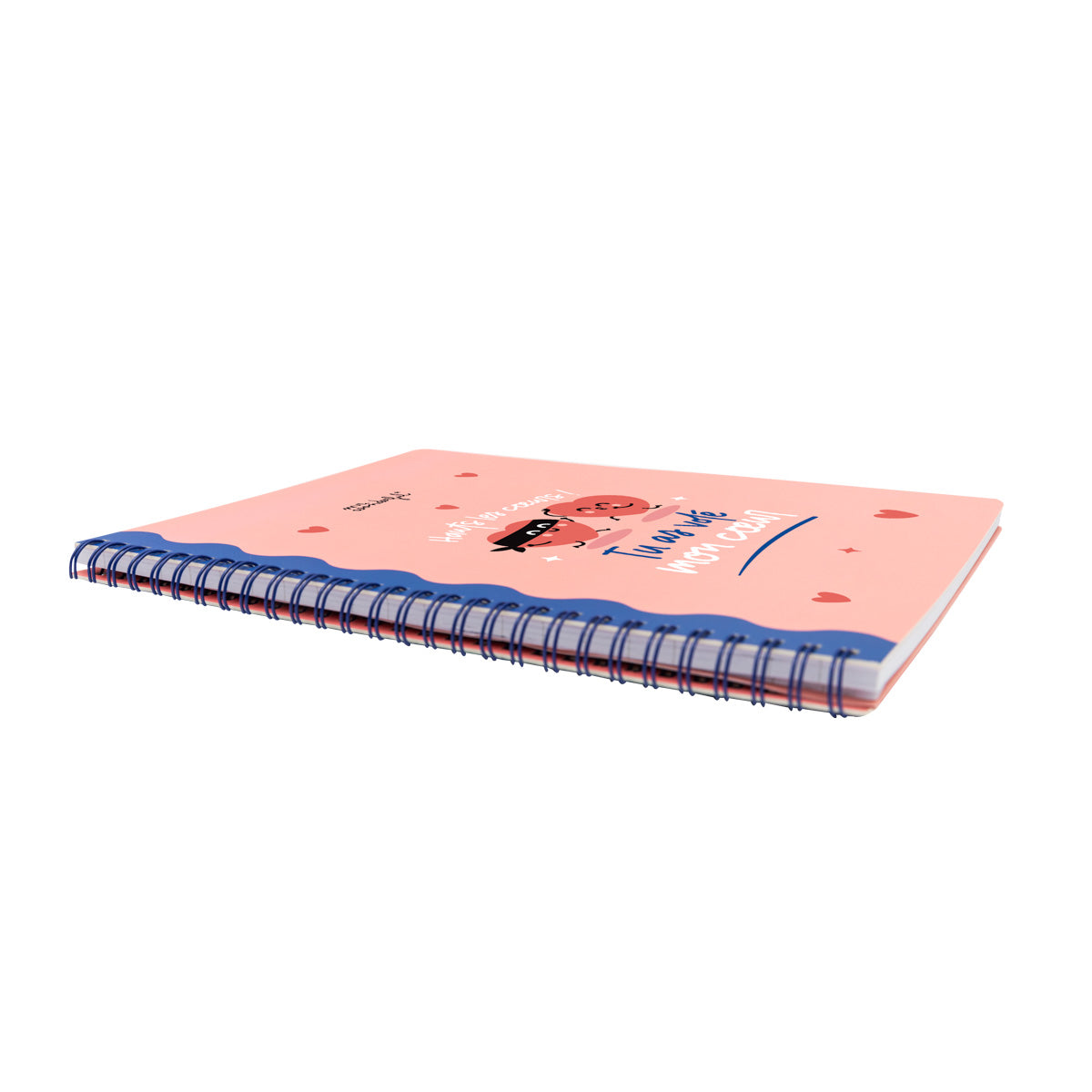 Cahier A5 - Hauts les coeurs ! Tu as fait voler mon cœur 