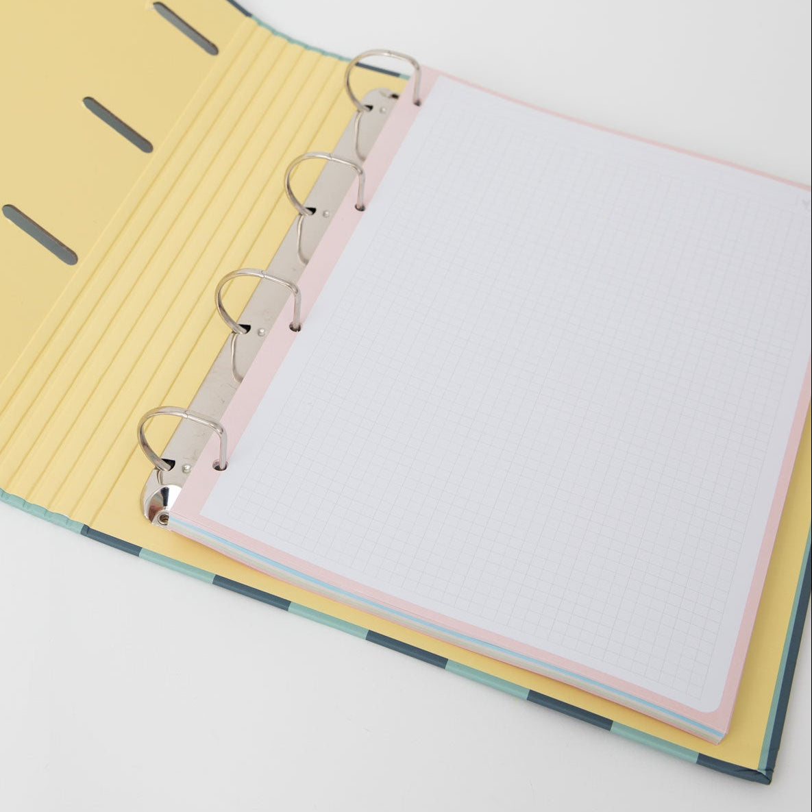 Carpeta con anillas y folios - Positivity & creativity