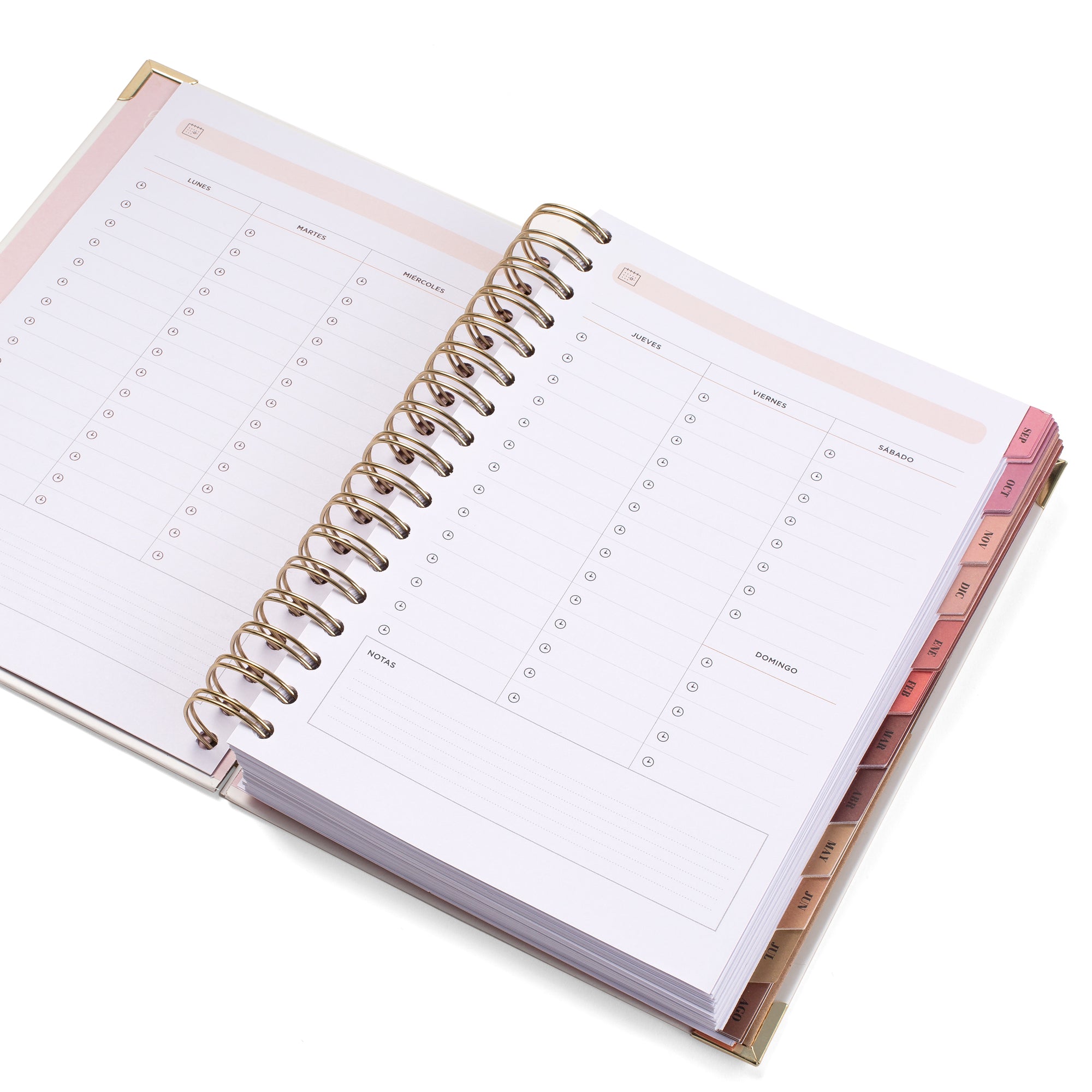 Agenda Office 2025-26 Diaria - La vida es AHORA