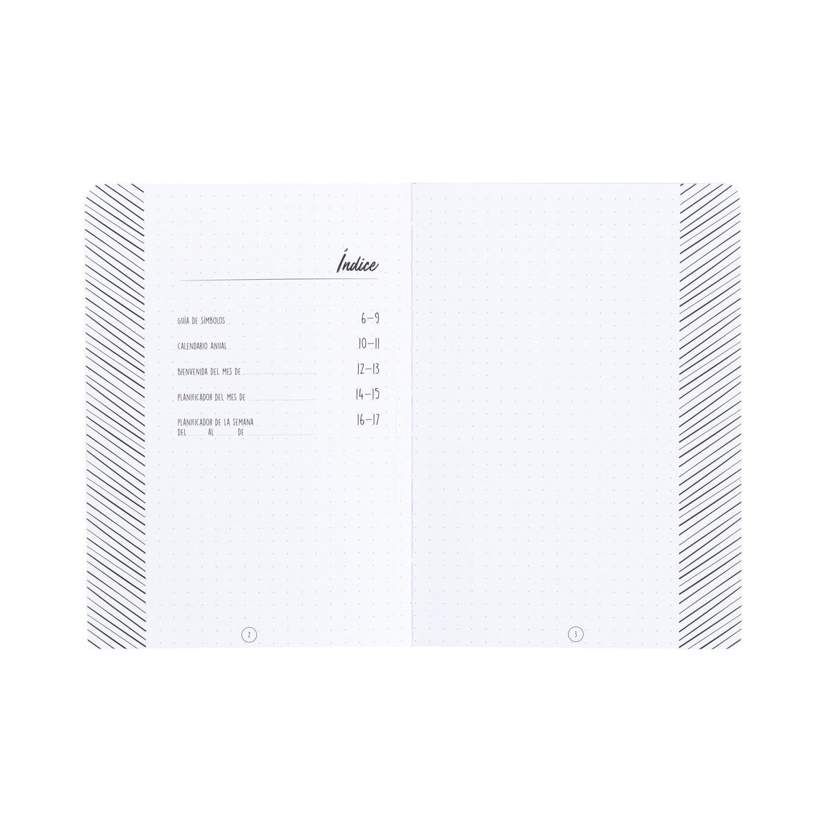 Bullet Journal - Muito para escrever, desenhar e comemorar