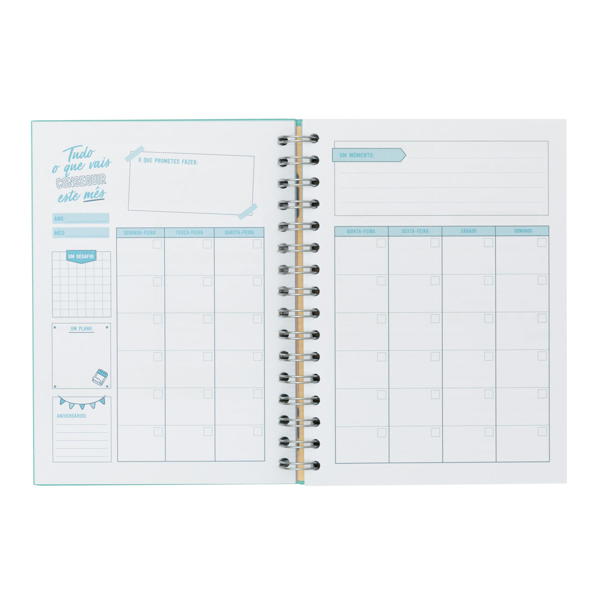 Organizador de produtividade - Planos, sonhos e muitos desafios 