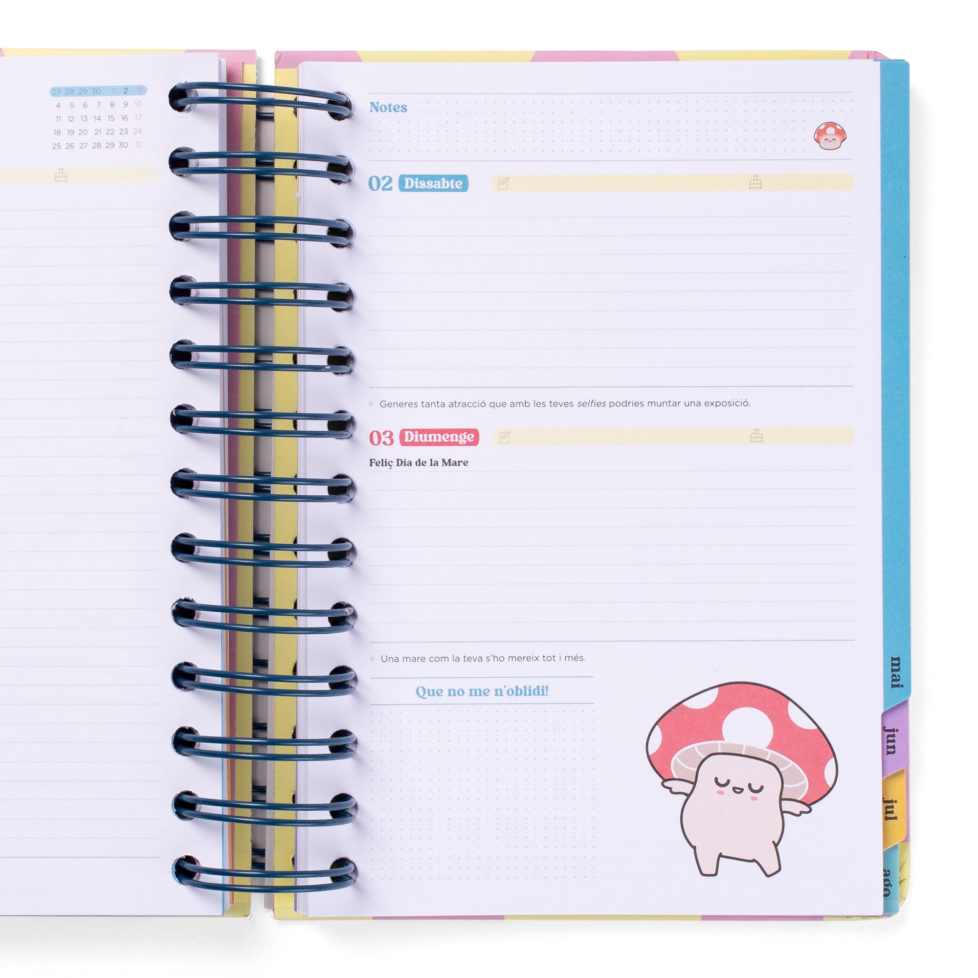Agenda Wonder petita 2025-26 Diària - Gran dia a la vista (Català)