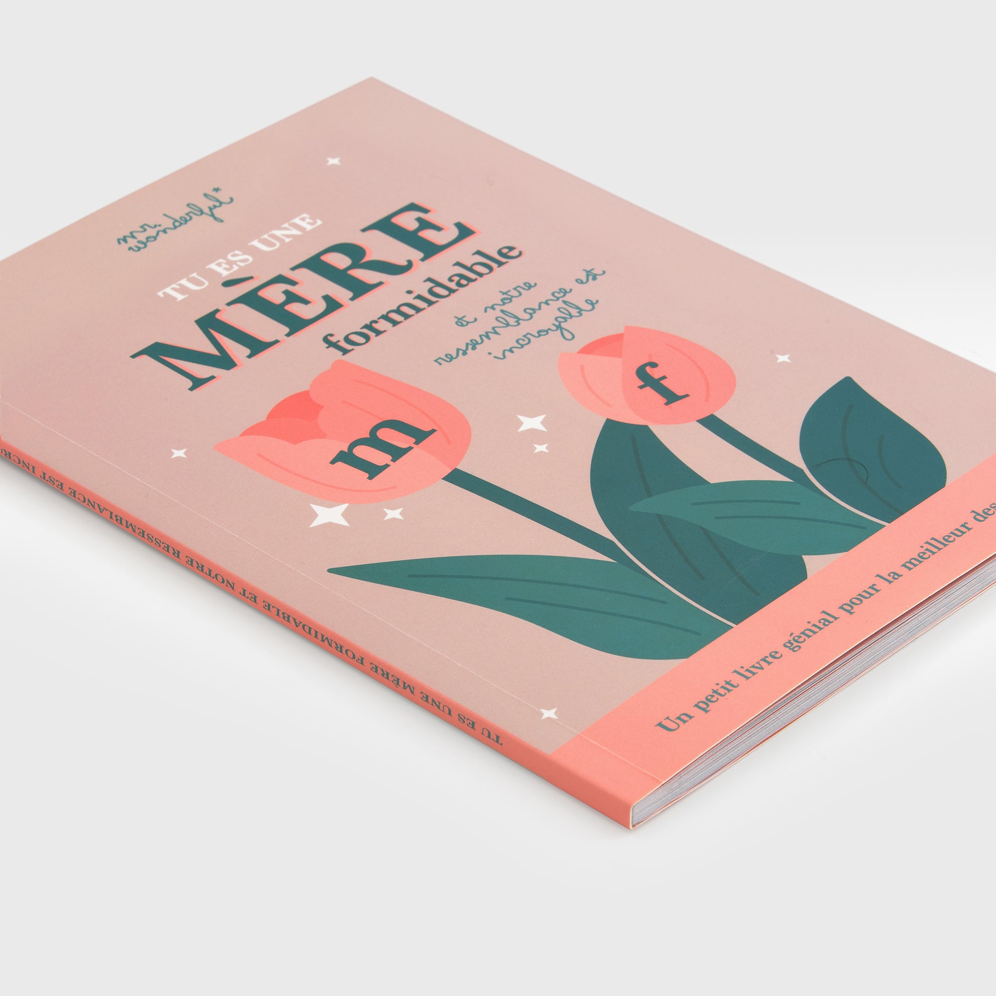 Livre à personnaliser - Tu es une mère formidable et notre ressemblance est incroyable