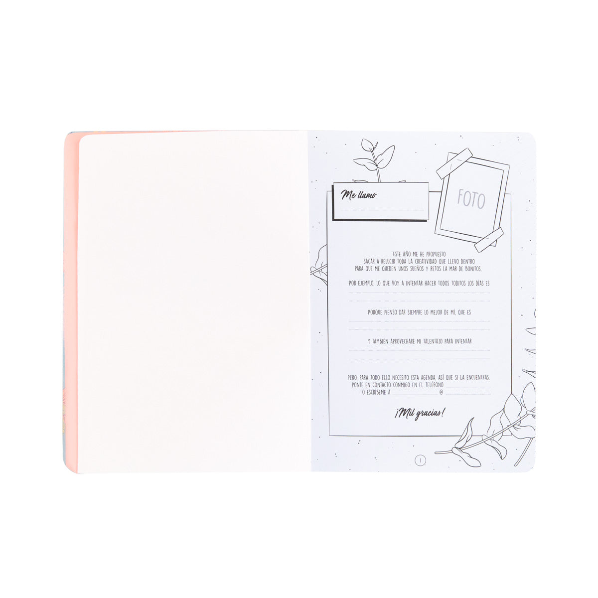 Bullet Journal - Muito para escrever, desenhar e comemorar