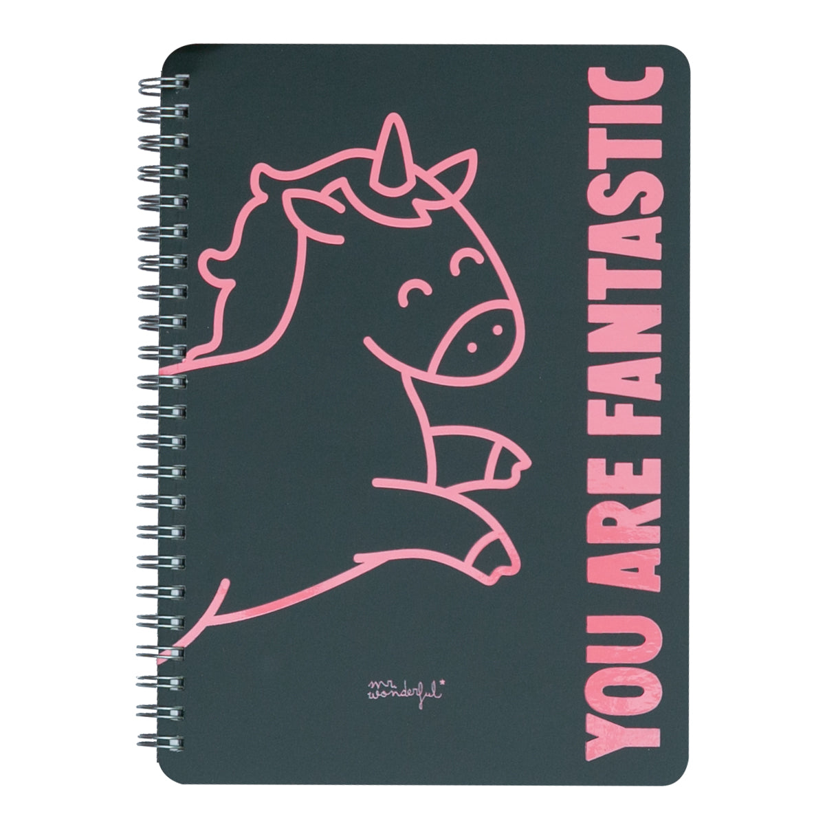 Carnet A5 Licorne noir - Tu es fantastique 